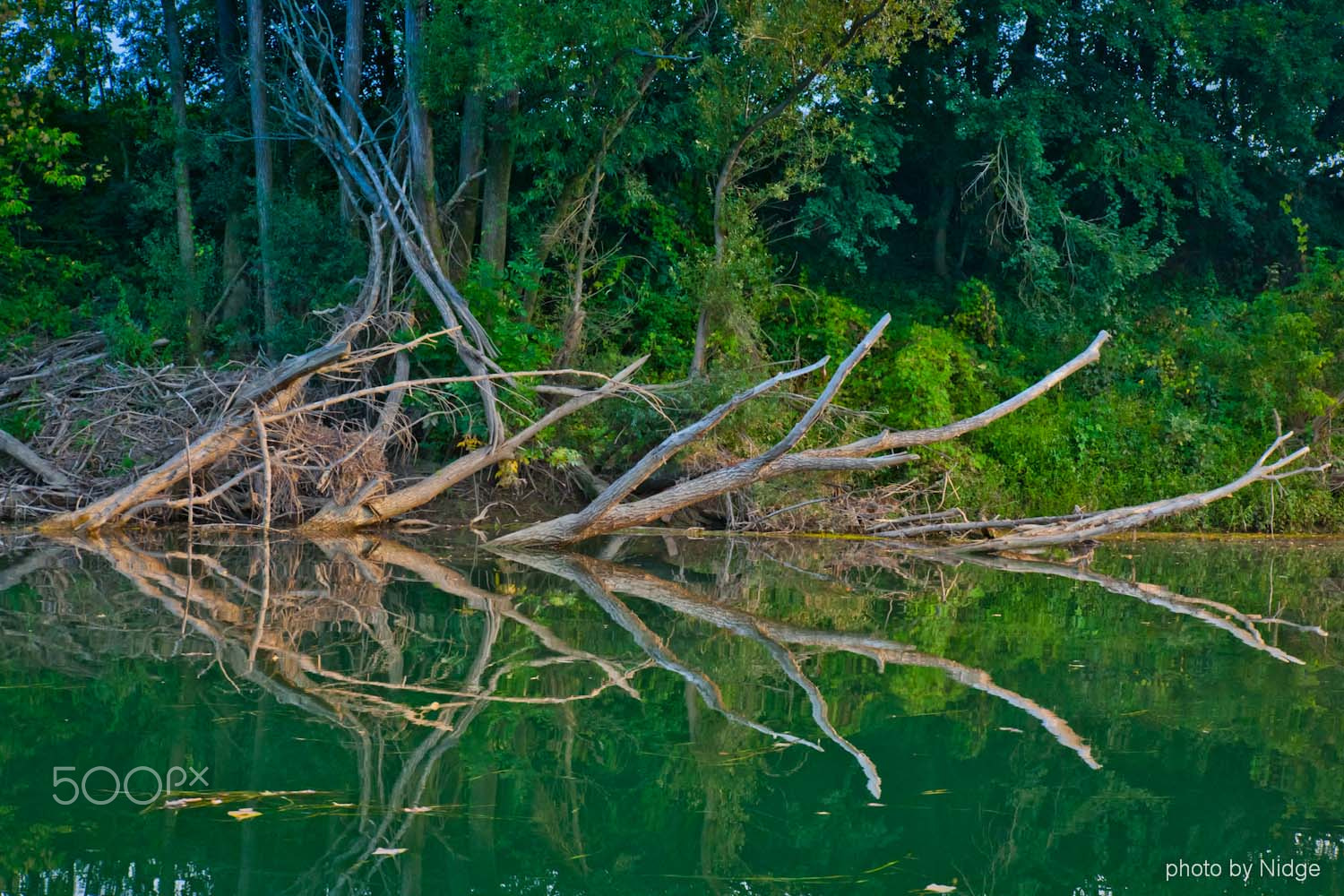 Canon 24.0-70.0 mm sample photo. River kupa photography