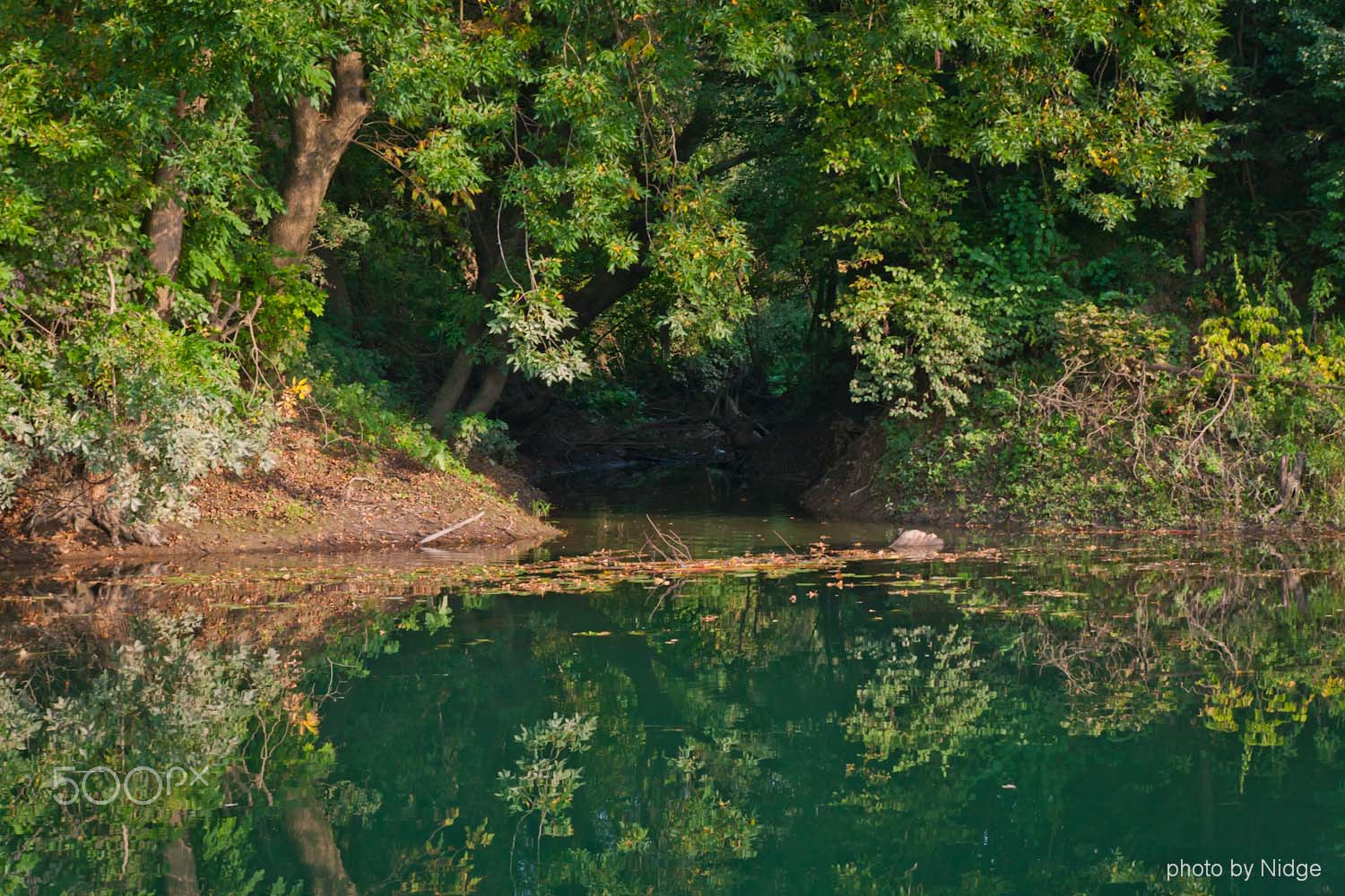 Canon 24.0-70.0 mm sample photo. River kupa photography