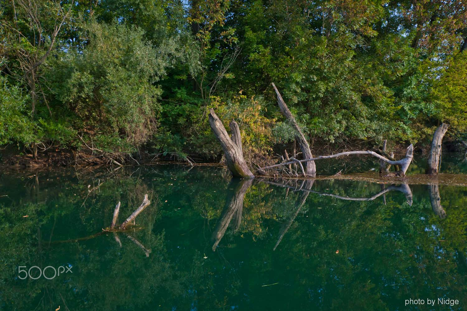 Canon 24.0-70.0 mm sample photo. River kupa photography