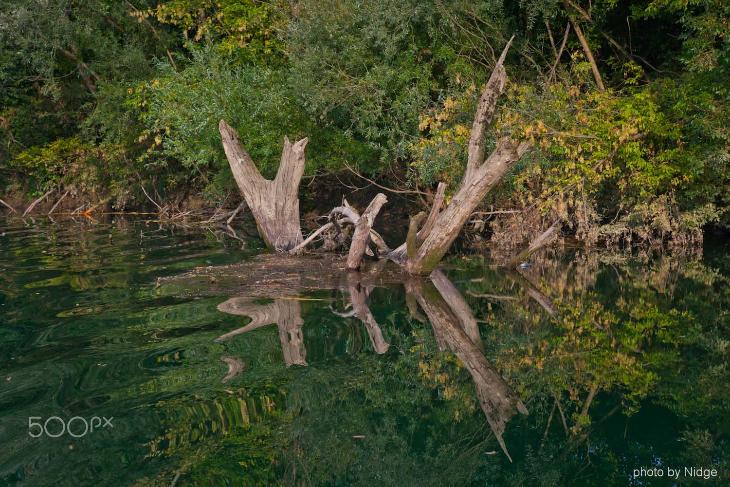 Canon 24.0-70.0 mm sample photo. River kupa photography