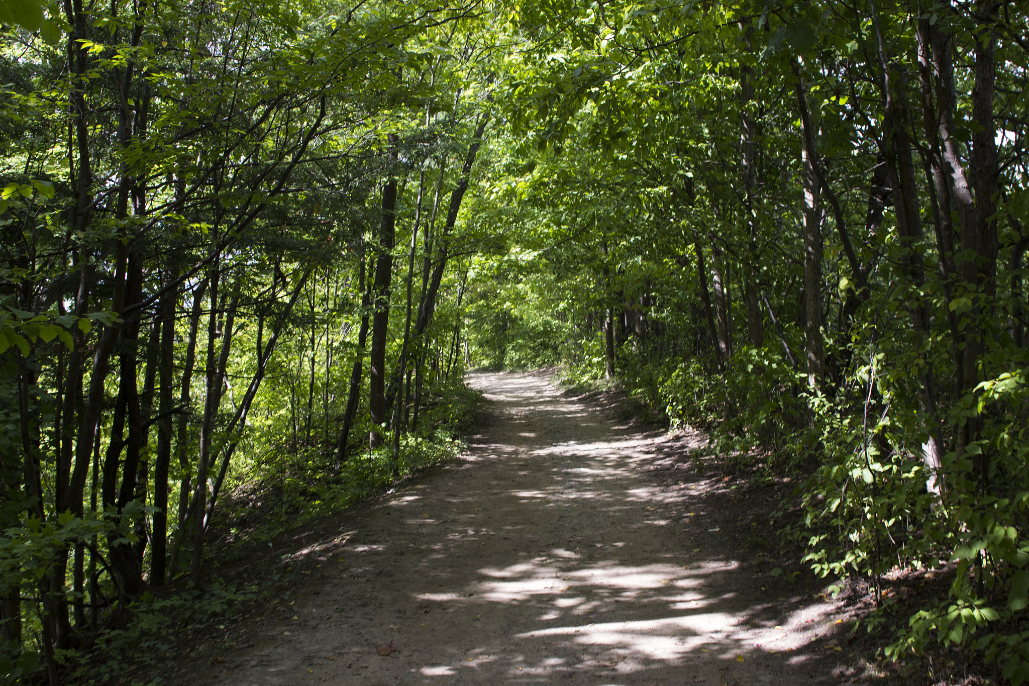 Canon EF 24mm F2.8 sample photo. Path photography