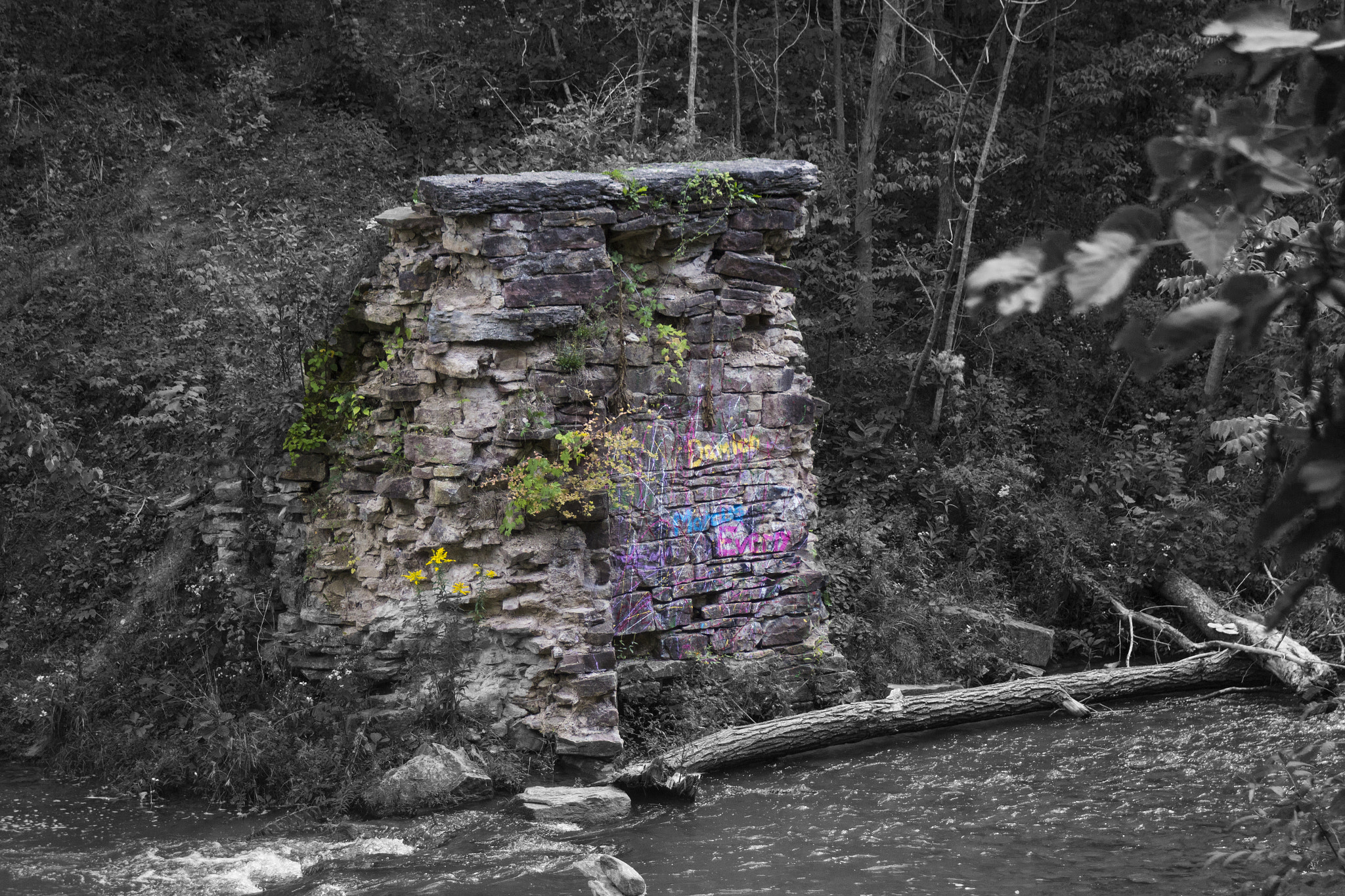 Canon EF 28-90mm f/4-5.6 sample photo. Art in beauty photography