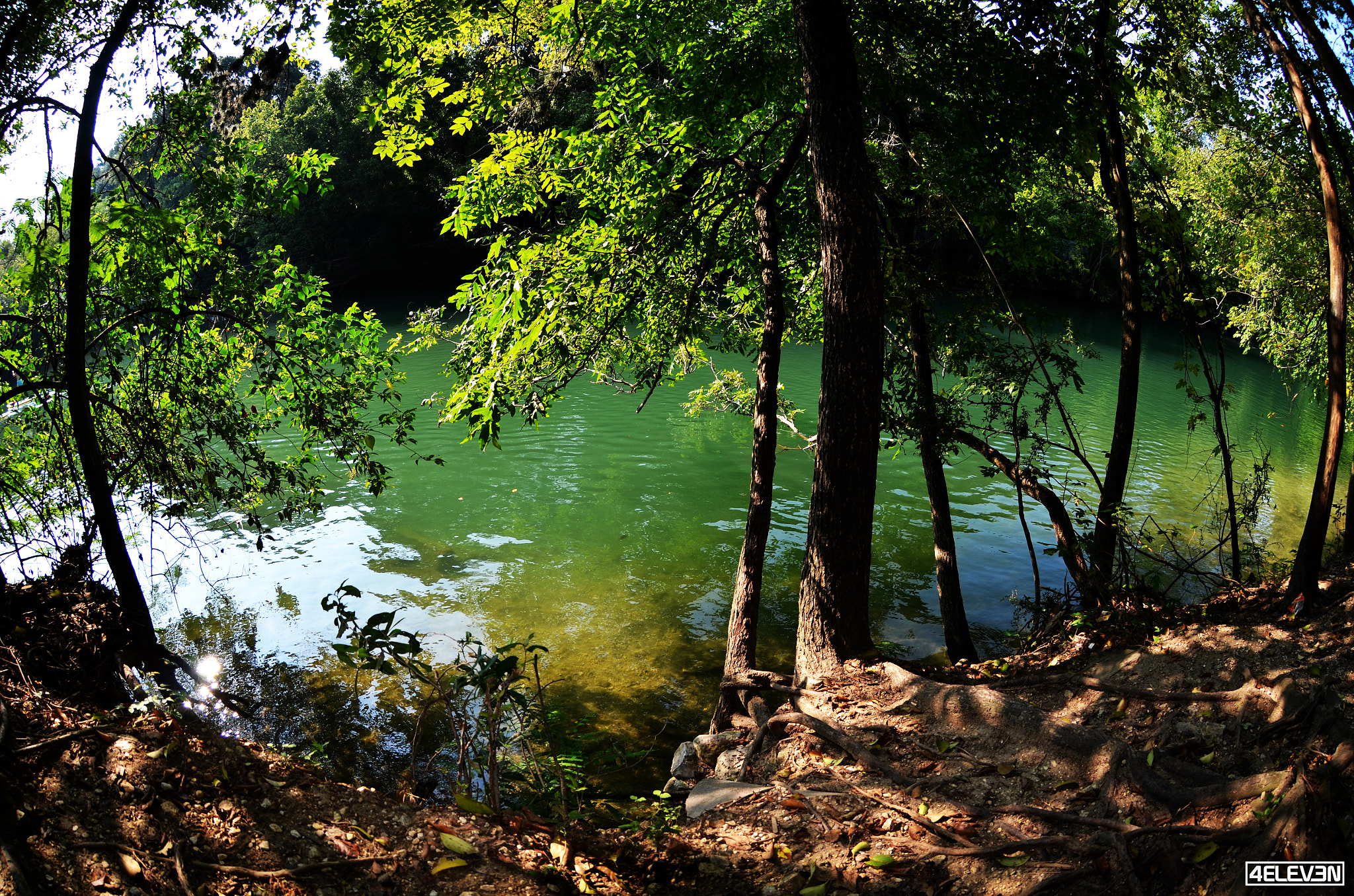 Nikon AF DX Fisheye-Nikkor 10.5mm F2.8G ED sample photo. Zilker park photography