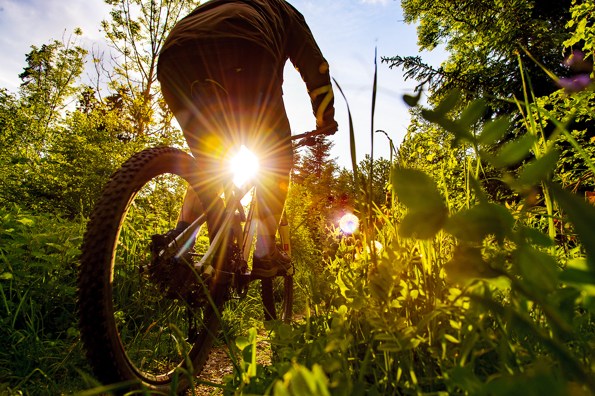 Nikon D3 sample photo. Mtb biker photography