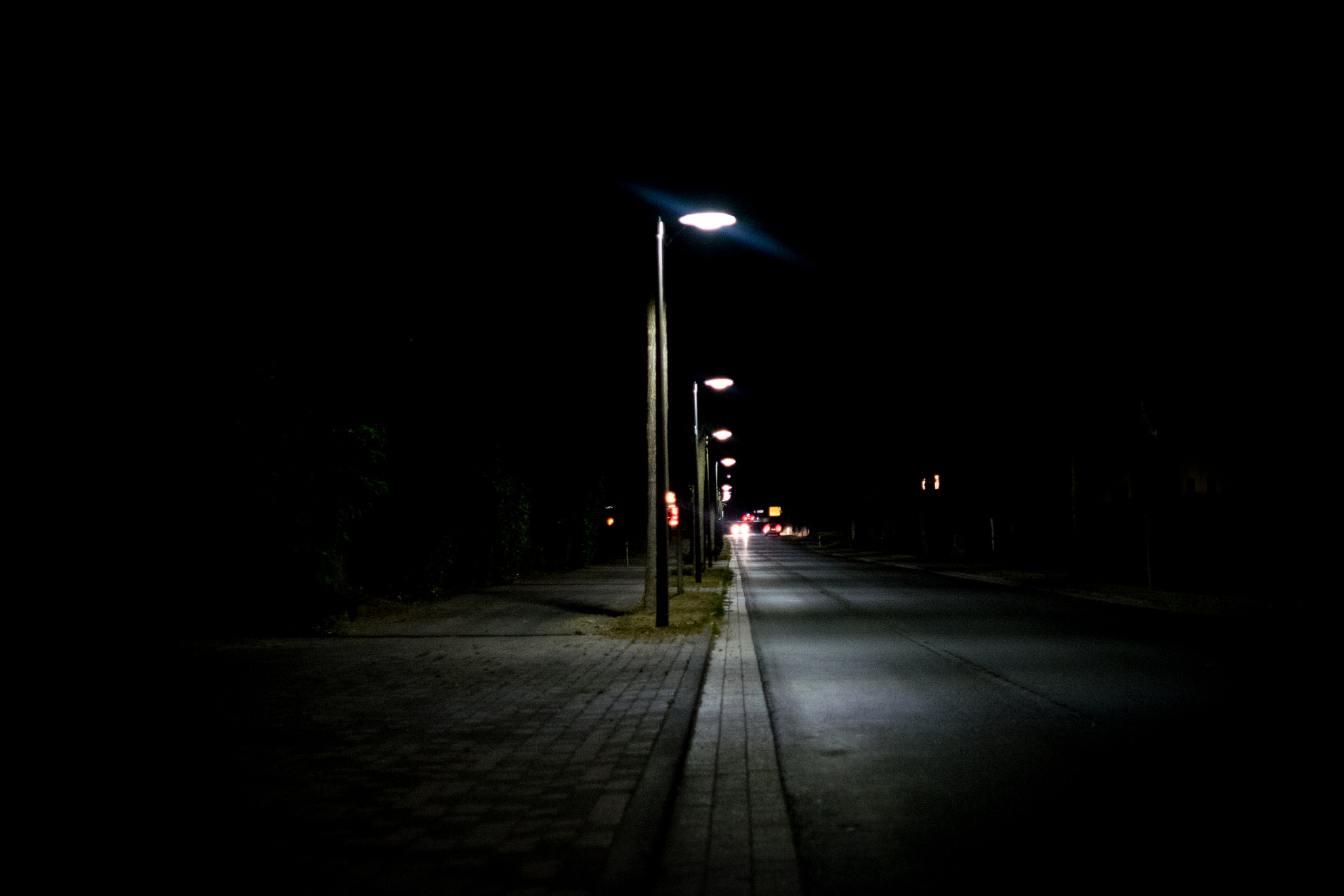 ZEISS Touit 32mm F1.8 sample photo. Sun photography