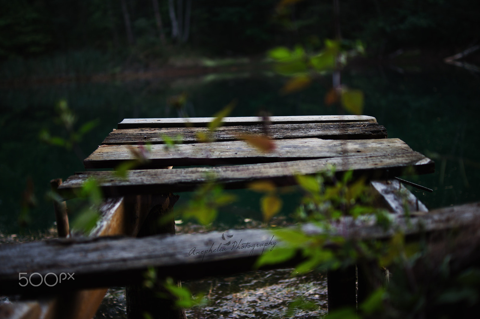 Sony SLT-A55 (SLT-A55V) + Sony DT 35mm F1.8 SAM sample photo. Rotten photography