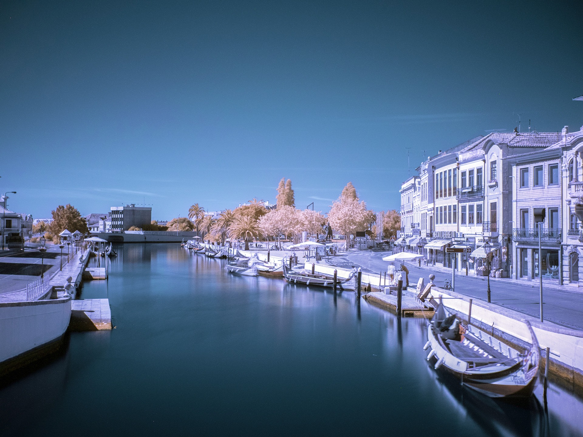 Panasonic Lumix DMC-GX8 sample photo. Aveiro_infrared11 photography