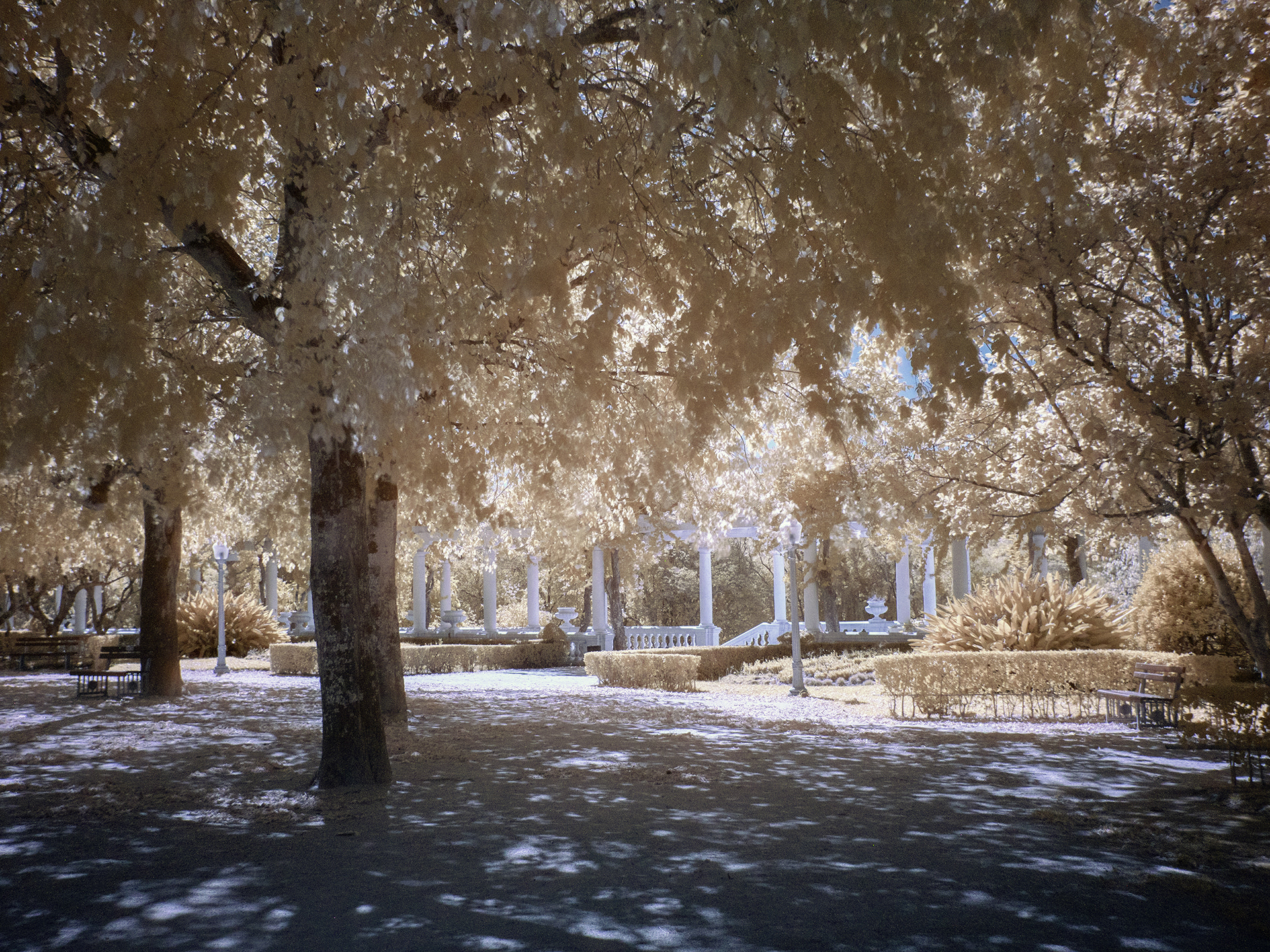 Panasonic Lumix DMC-GX8 + Panasonic Lumix G 20mm F1.7 ASPH sample photo. Aveiro_infrared12 photography