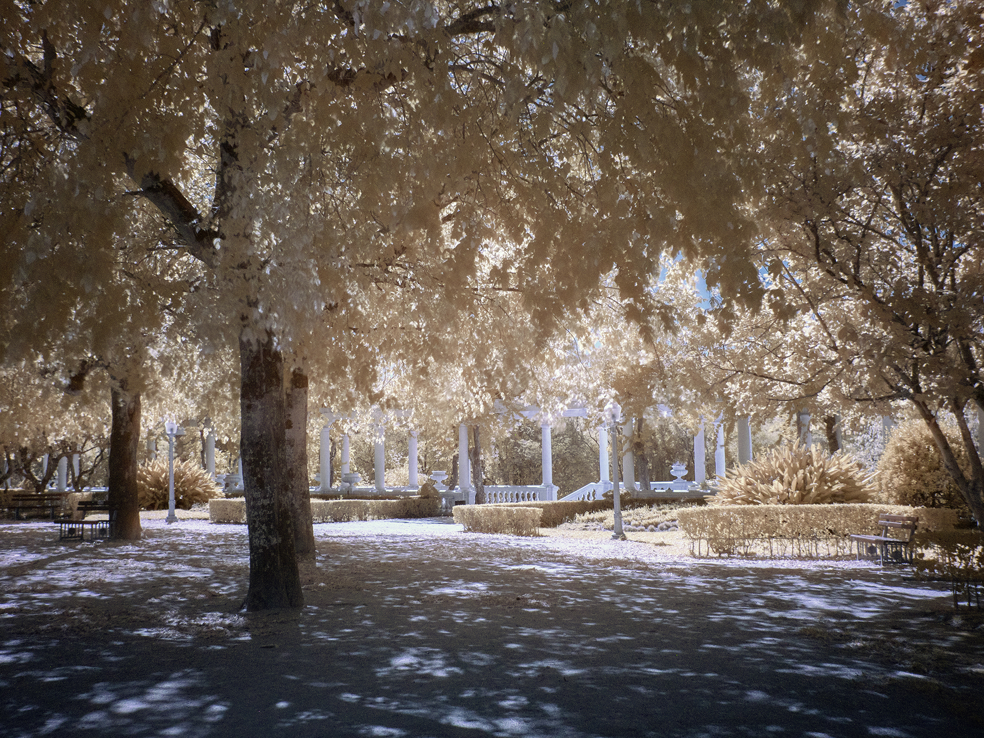 Panasonic Lumix DMC-GX8 sample photo. Aveiro_infrared12 photography