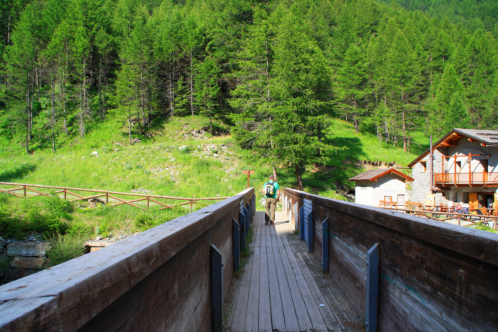 Canon EOS 1000D (EOS Digital Rebel XS / EOS Kiss F) sample photo. Let's go! photography