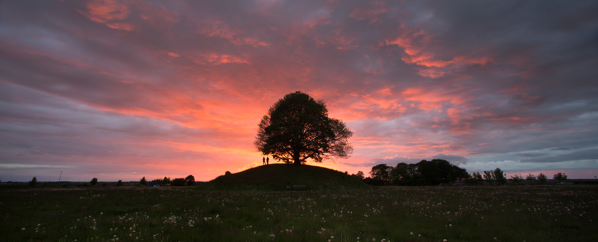 Canon EOS 6D + Canon TS-E 24mm f/3.5L sample photo. Kong svends høj panorama photography