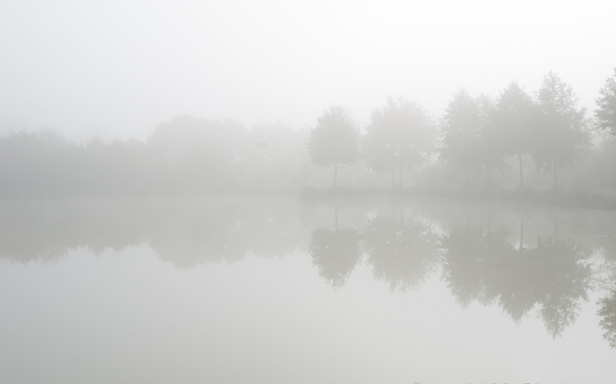 Sigma 18-35mm F1.8 DC HSM Art sample photo. Impression photography