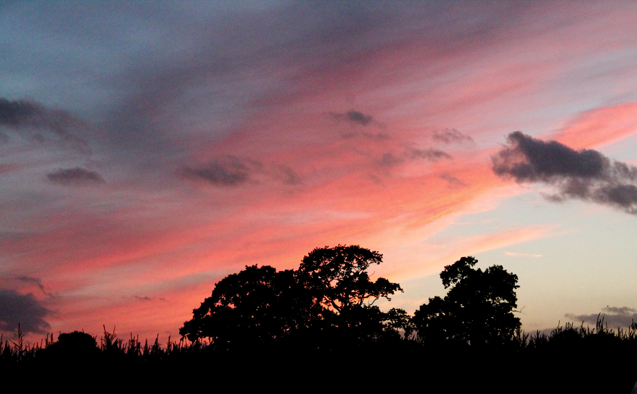 Canon EF-S 18-55mm F3.5-5.6 III sample photo. Passing clouds on a painted sky photography