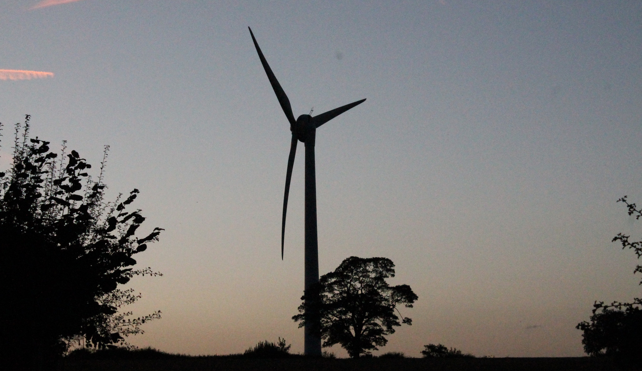 Canon EF-S 18-55mm F3.5-5.6 III sample photo. Green energy dwarfing the mighty oak dominating the sky photography