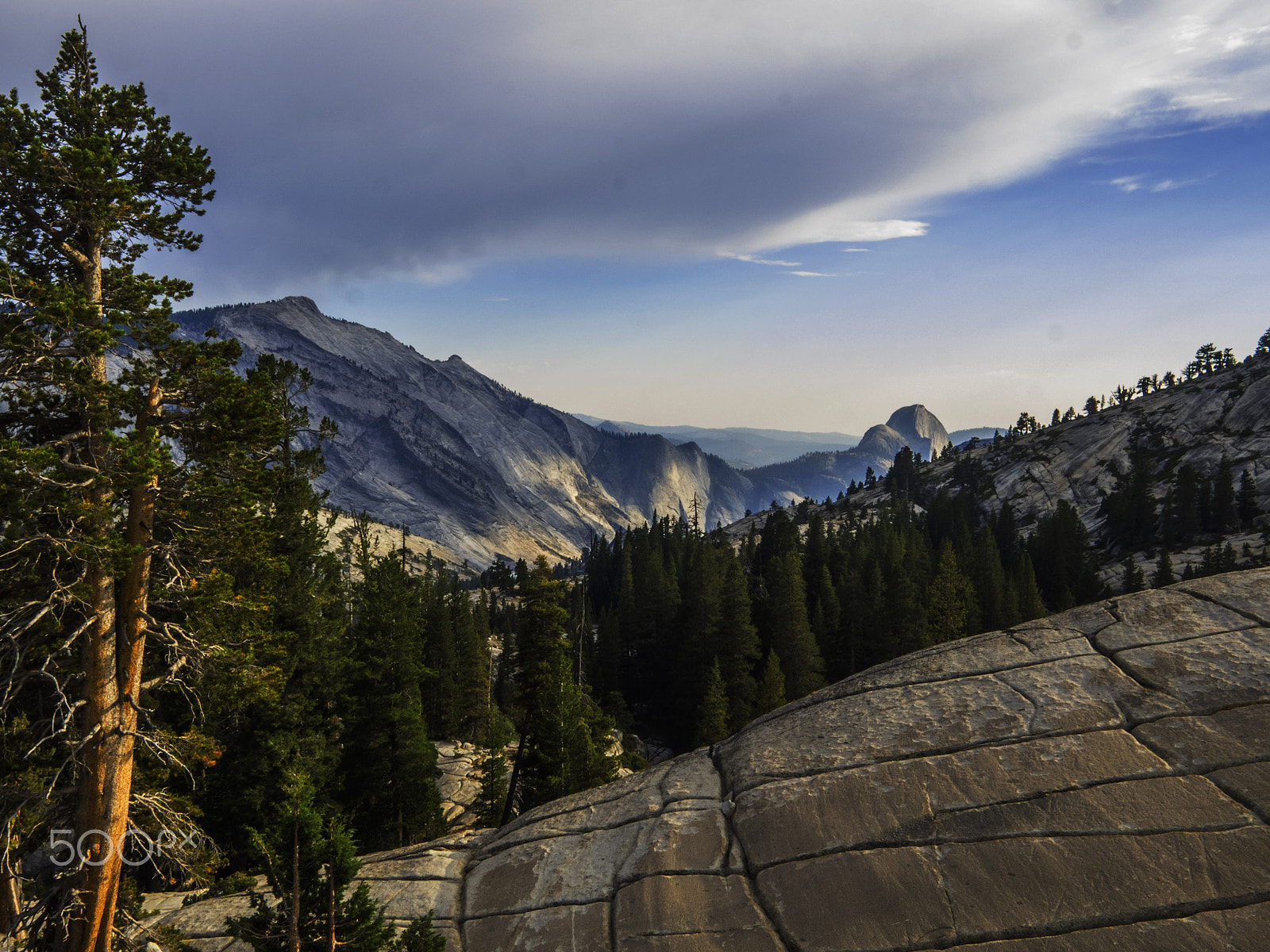 OLYMPUS M.9-18mm F4.0-5.6 sample photo. Yosemite national park photography