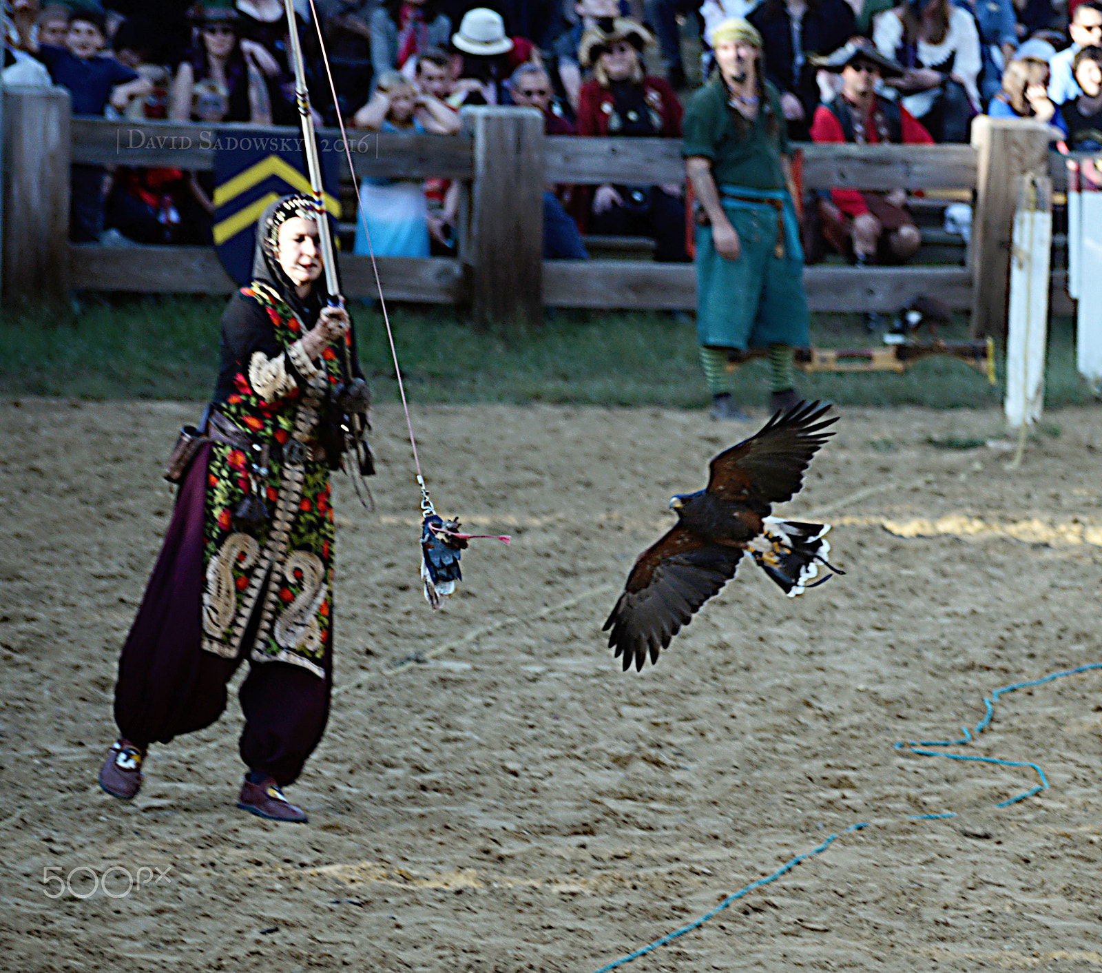 Sigma 70-300mm F4-5.6 APO DG Macro sample photo. Raptors photography