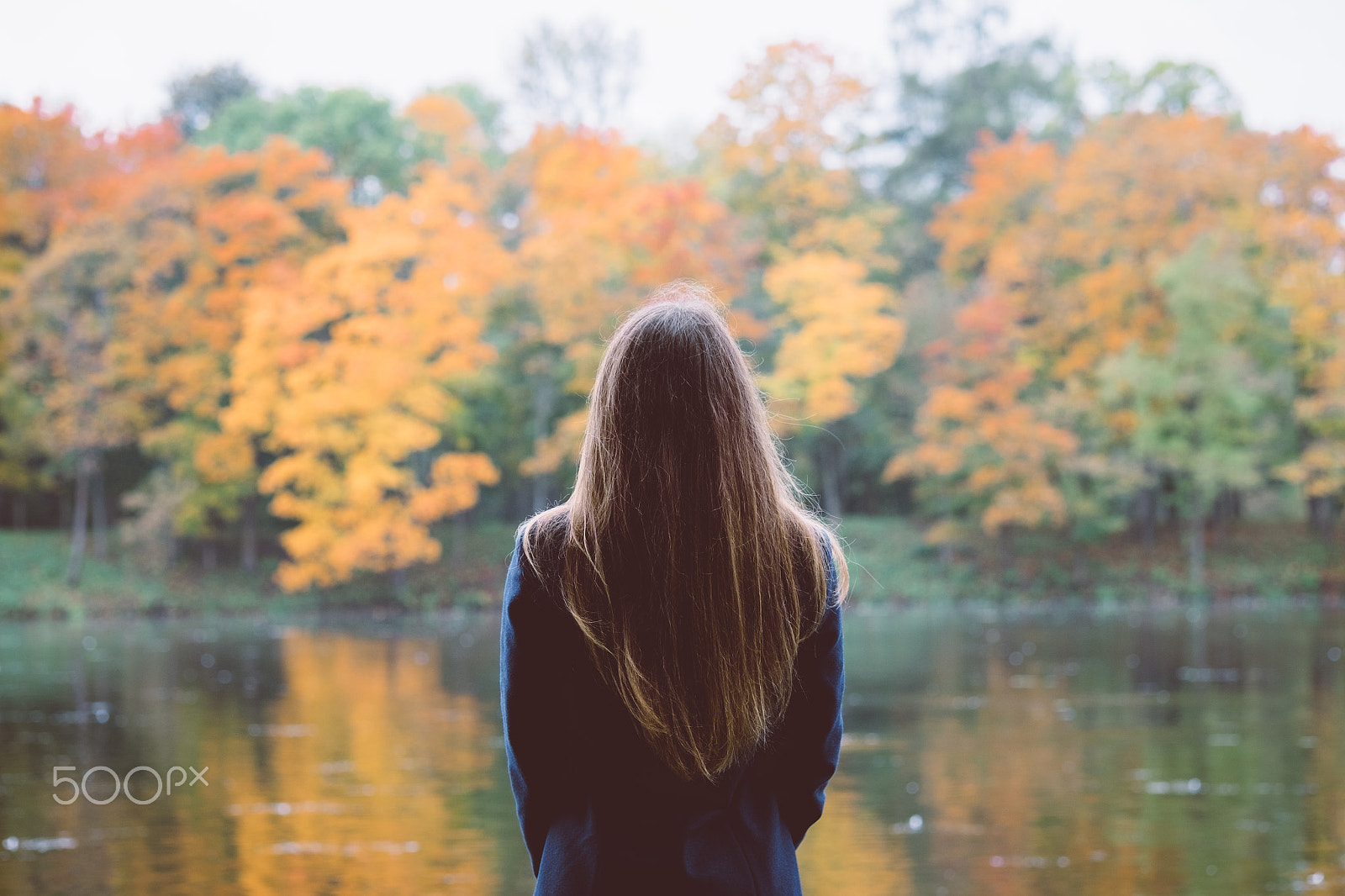 Fujifilm X-E2 + Fujifilm XF 60mm F2.4 R Macro sample photo. Outdoor autumn portrait of girl standing backwards with straight hair. back view of woman... photography