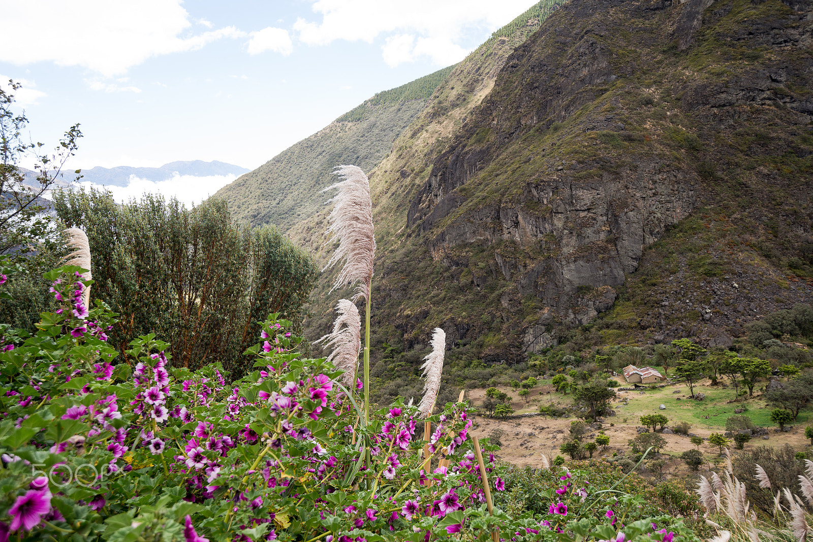 Nikon D800 sample photo. Mountains in ecuador photography
