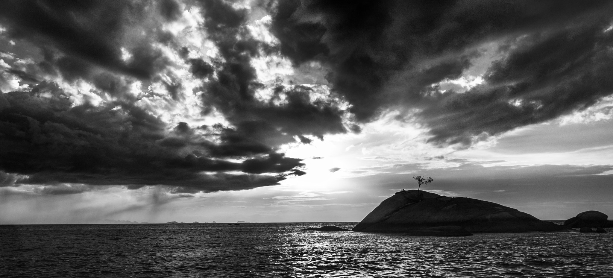 Sigma 8-16mm F4.5-5.6 DC HSM sample photo. Lonely tree photography