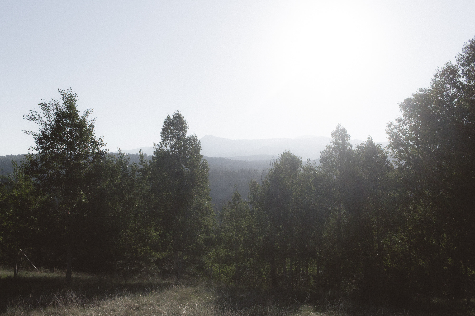 Canon EF-S 24mm F2.8 STM sample photo. Colorado morning haze photography
