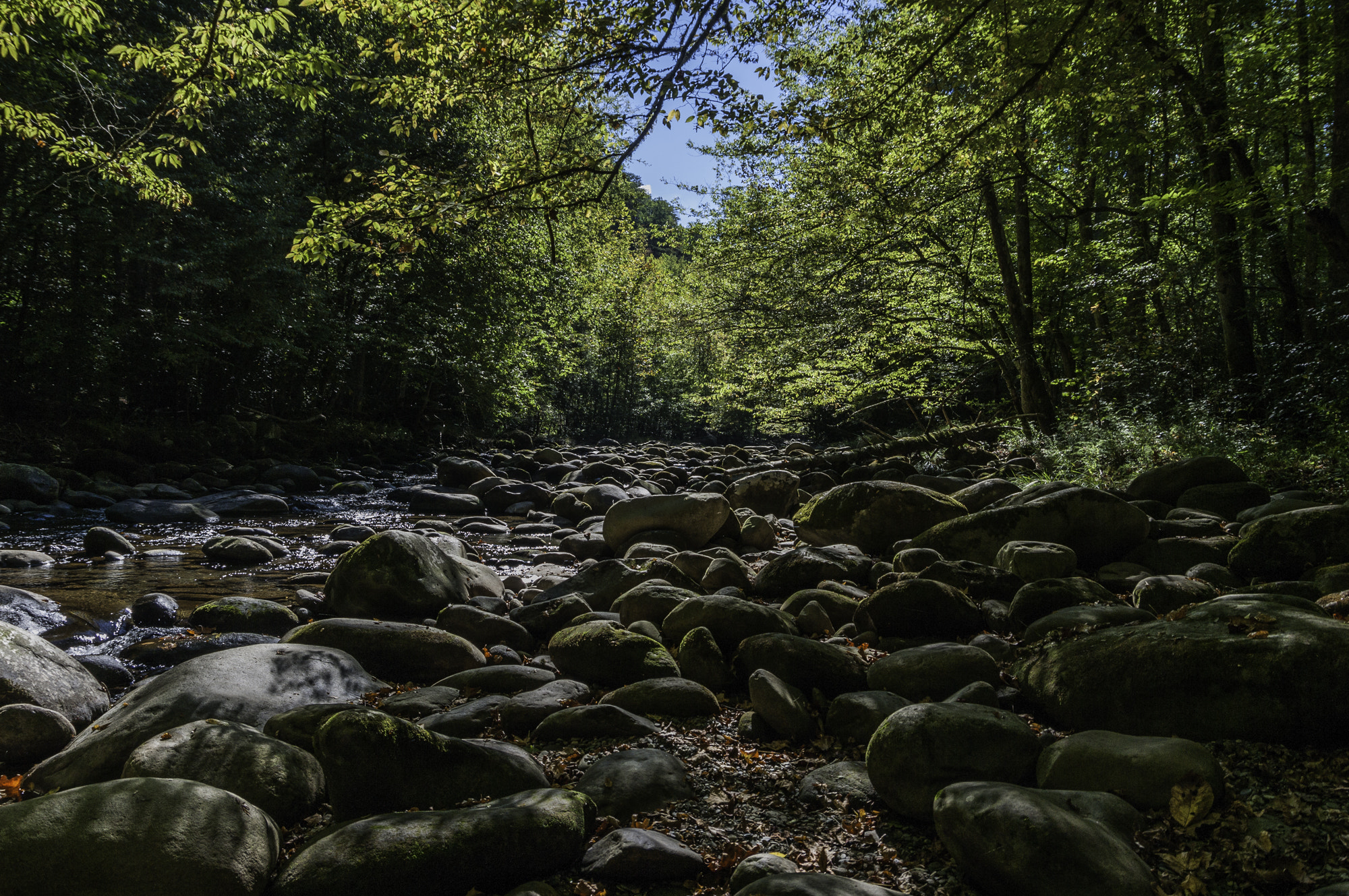 Pentax K20D sample photo. Gatlinburg first hike photography