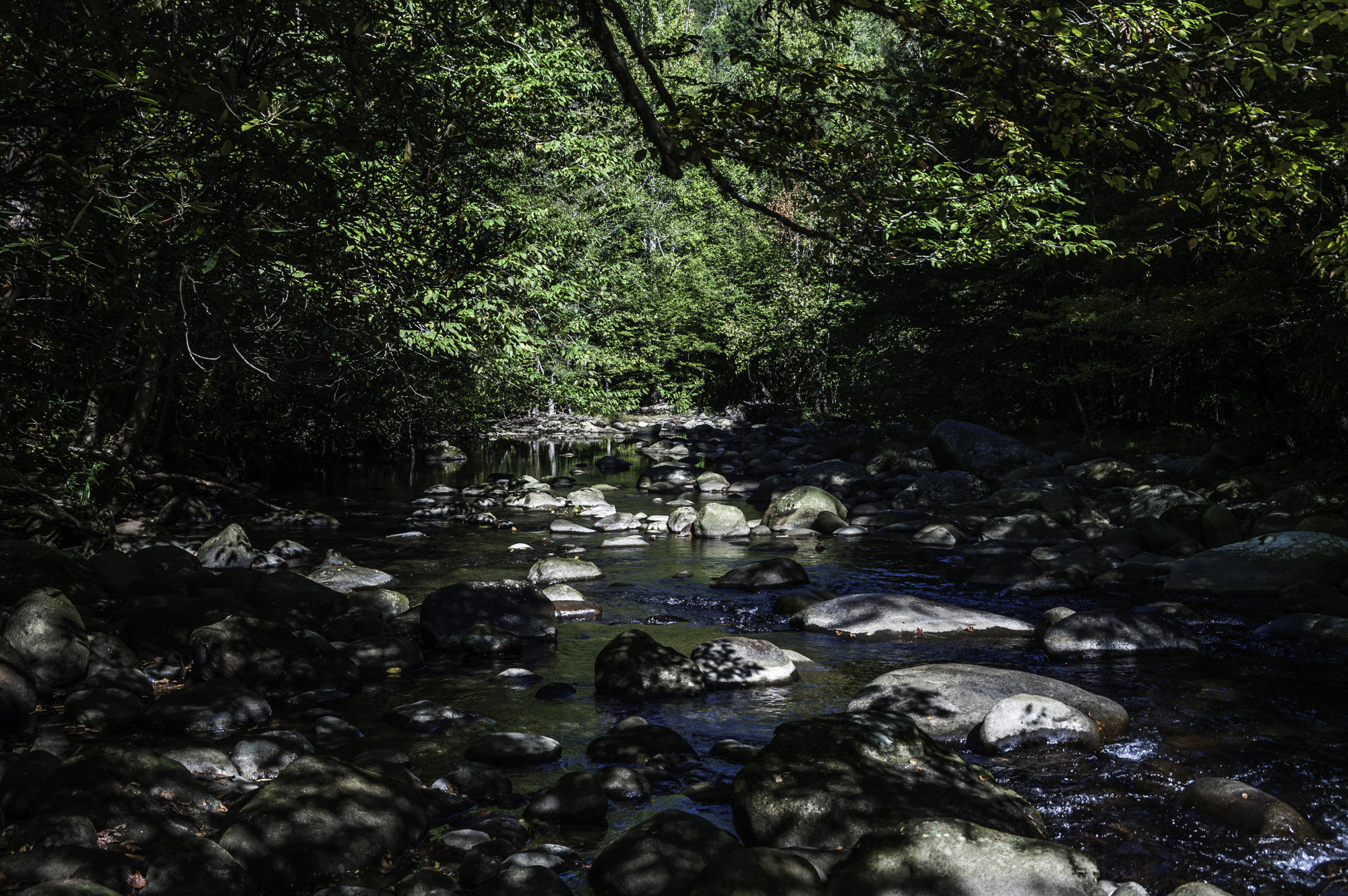 Pentax K20D sample photo. Gatlinburg first hike photography