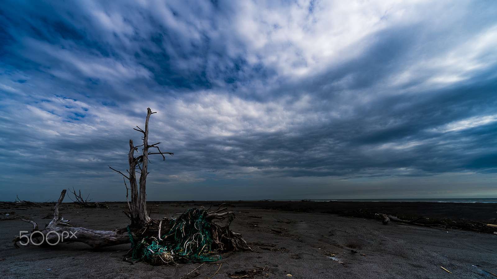 Sigma 12-24mm F4.5-5.6 EX DG Aspherical HSM sample photo. Green fishing net photography