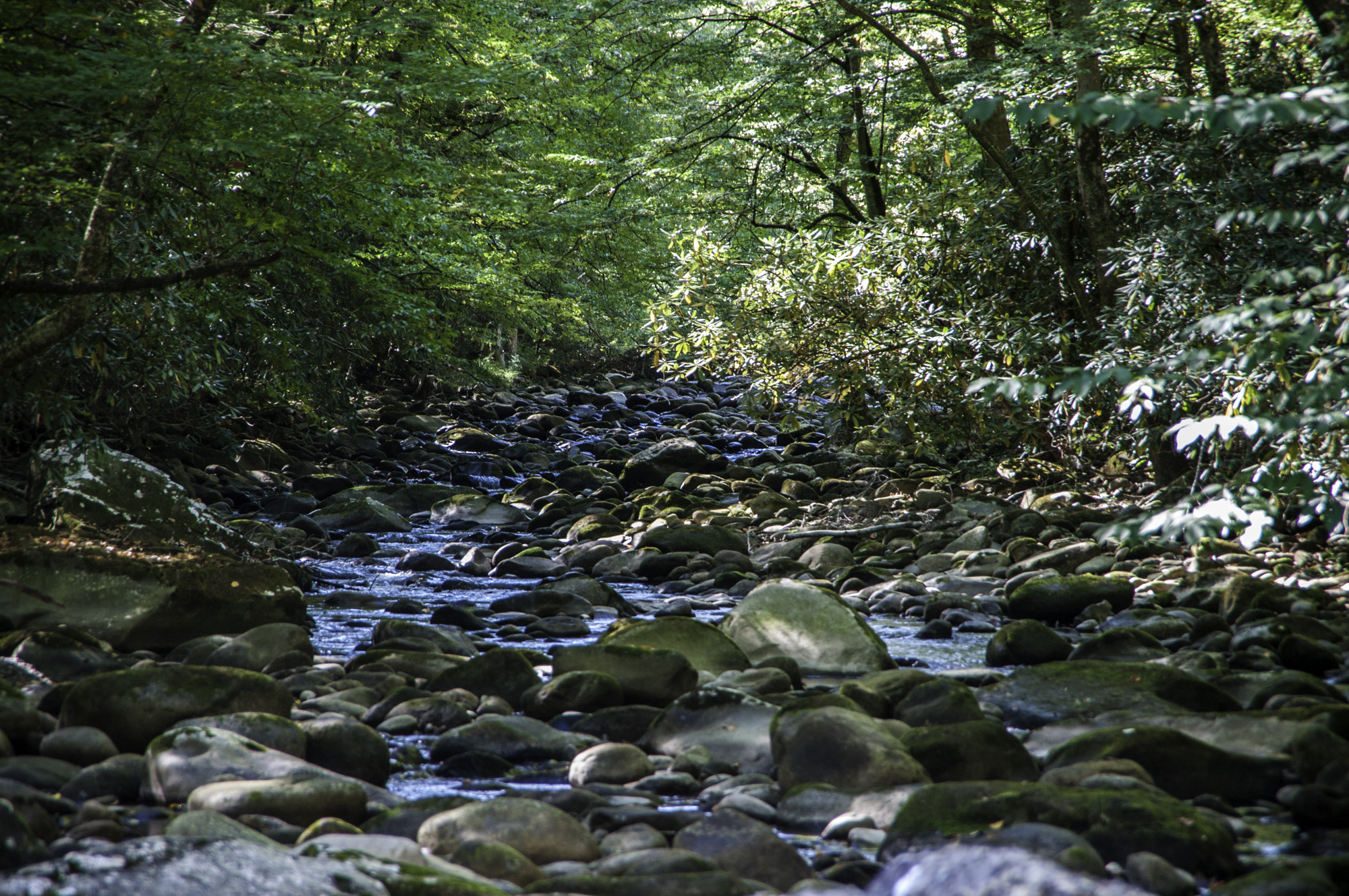 Pentax K20D sample photo. Gatlinburg first hike photography