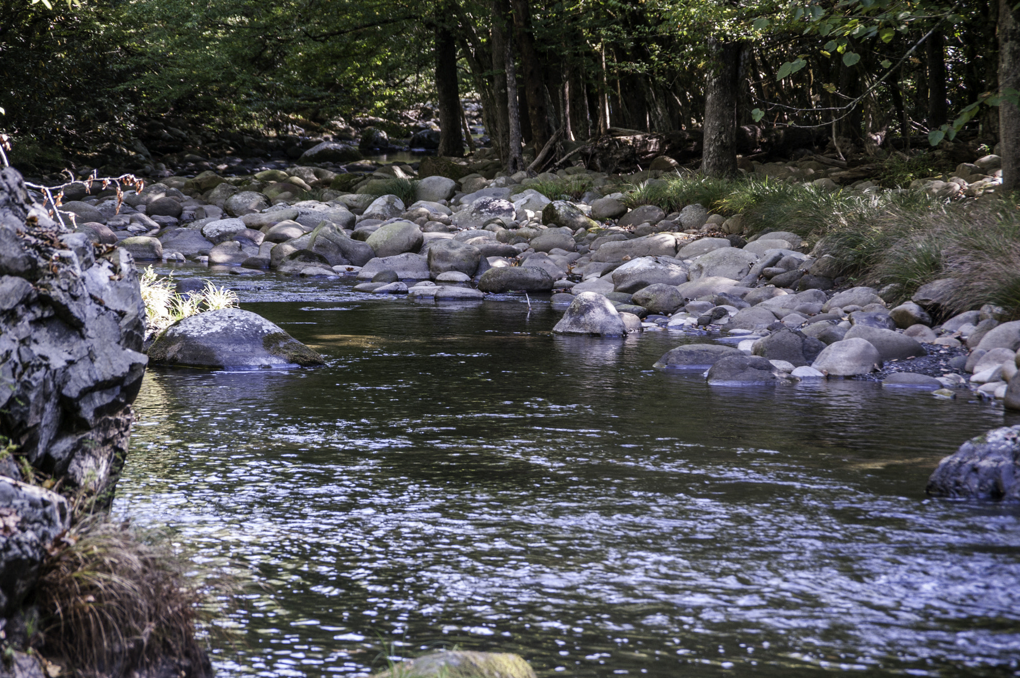 Pentax K20D sample photo. Gatlinburg first hike photography