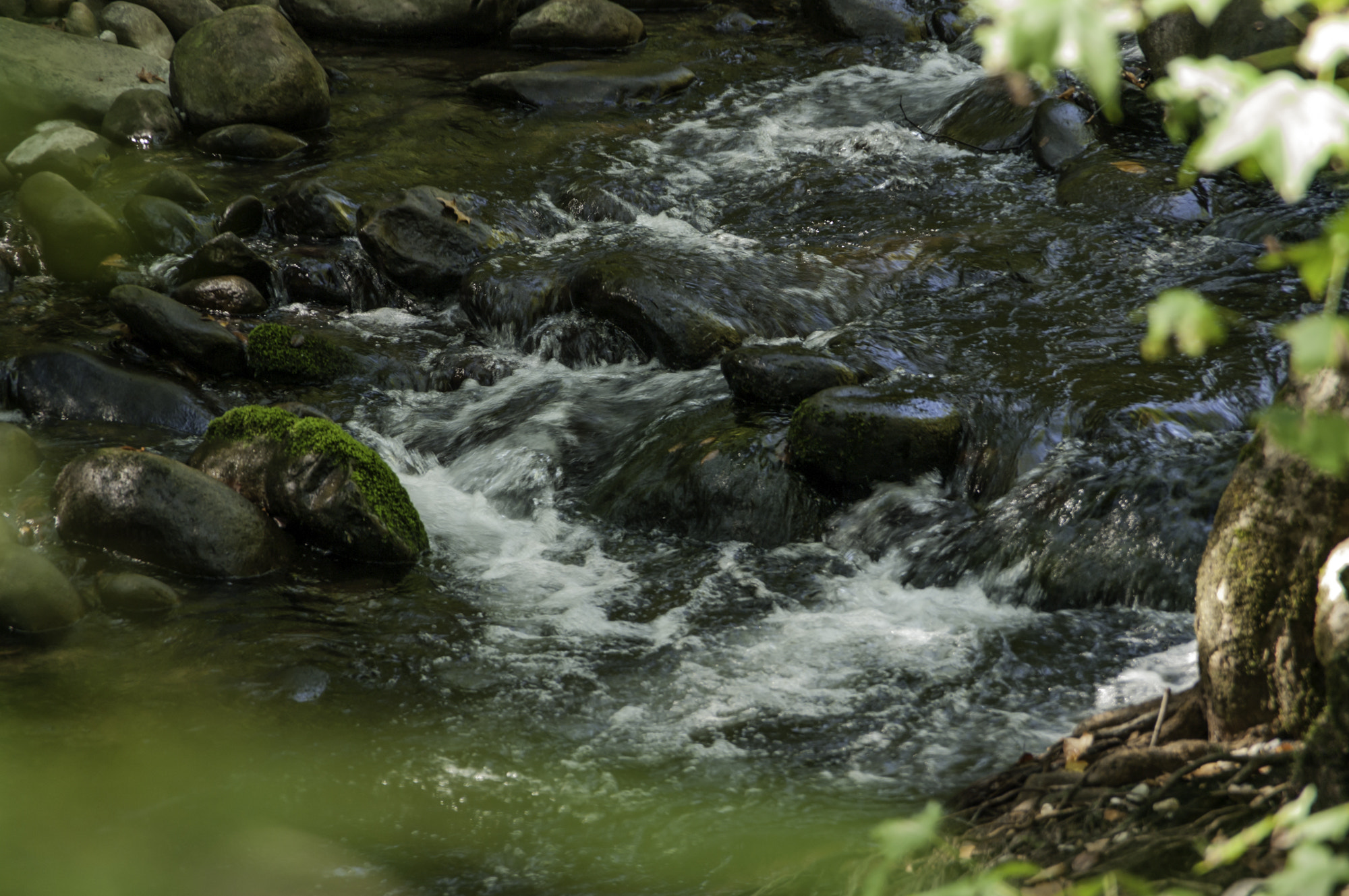 Pentax K20D sample photo. Gatlinburg first hike photography