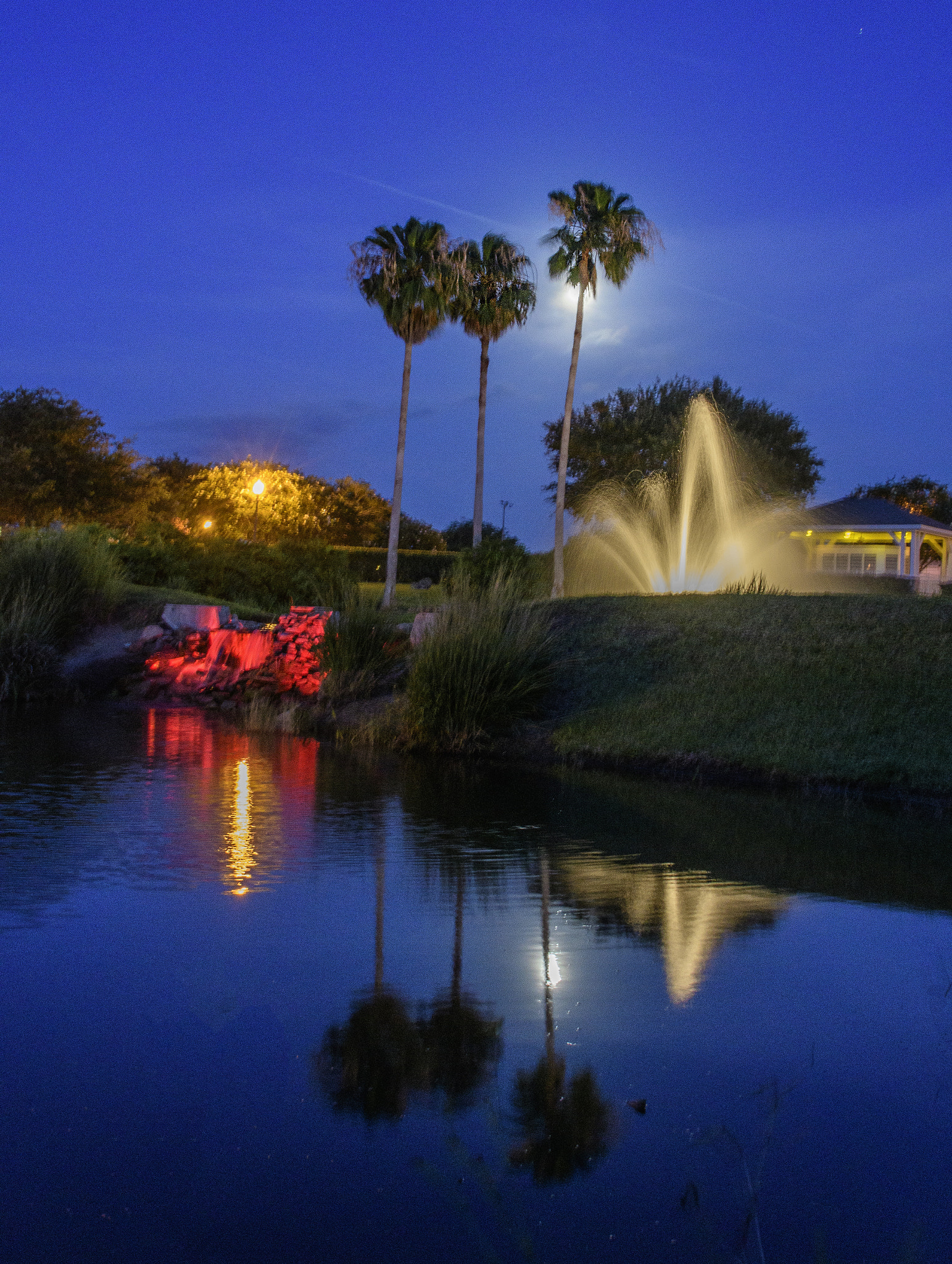 Nikon D500 sample photo. Tavares fountain photography