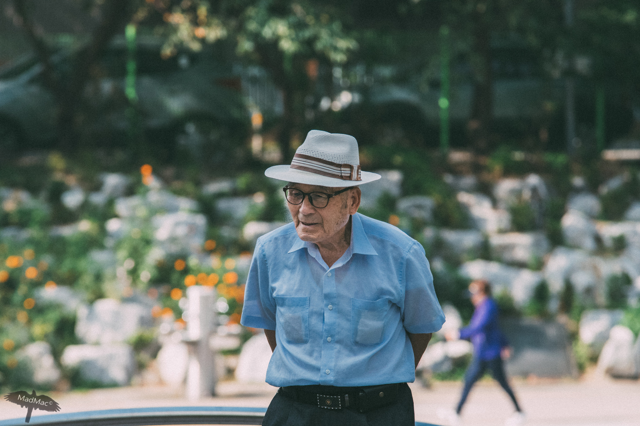 Sigma 70-200mm F2.8 EX DG OS HSM sample photo. Wisdom photography