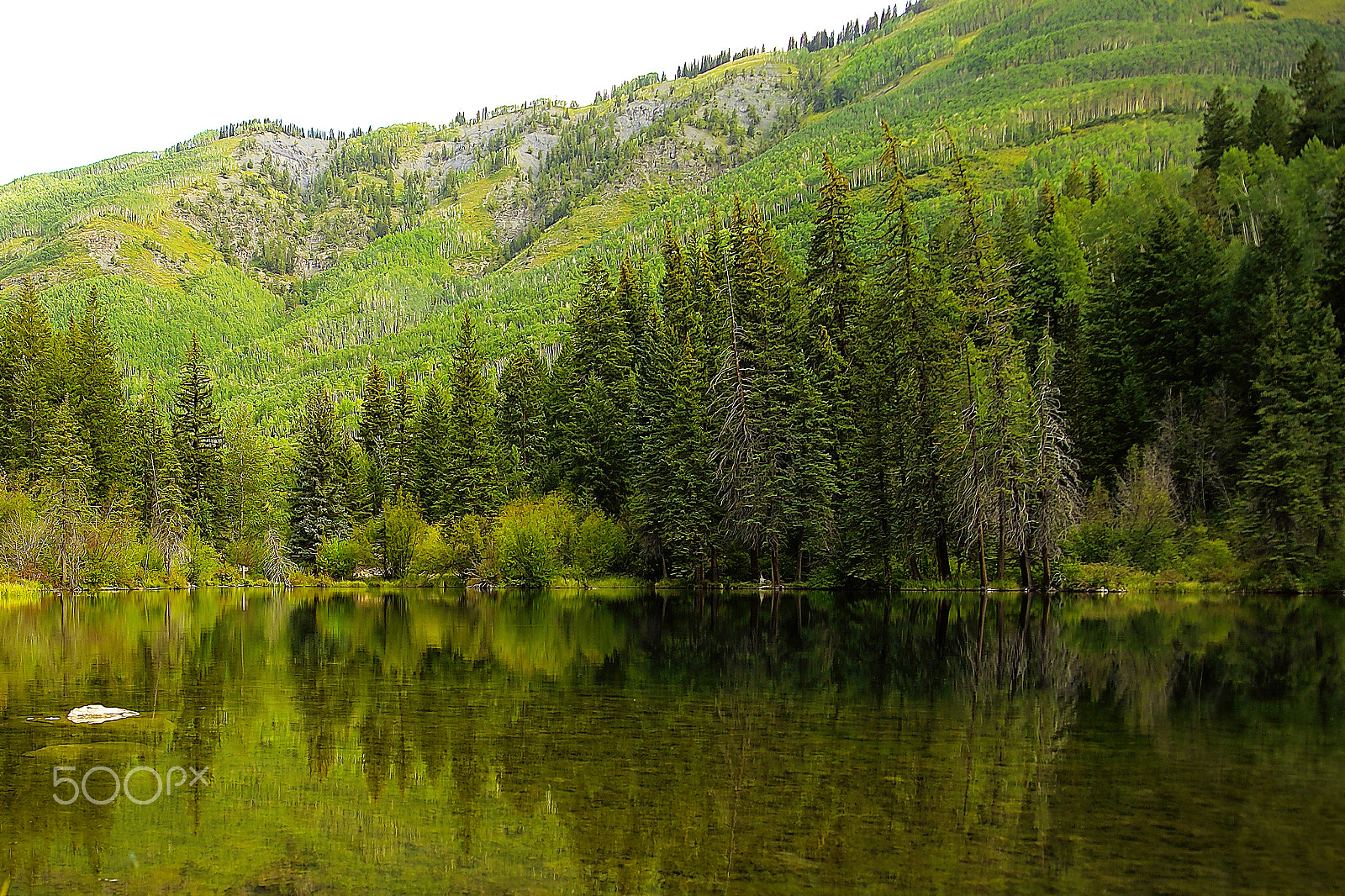 Kodak DCS Pro 14N sample photo. A shallow pond photography