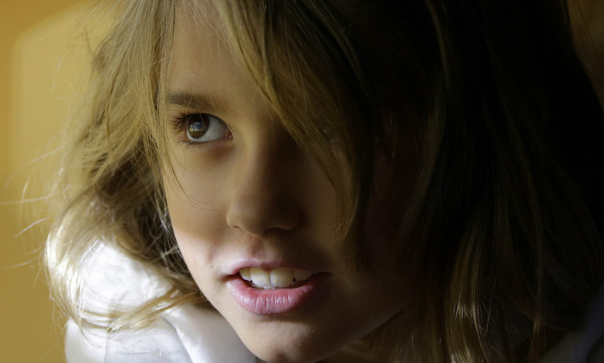 Sigma 24-105mm f/4 DG OS HSM | A sample photo. Quince photography