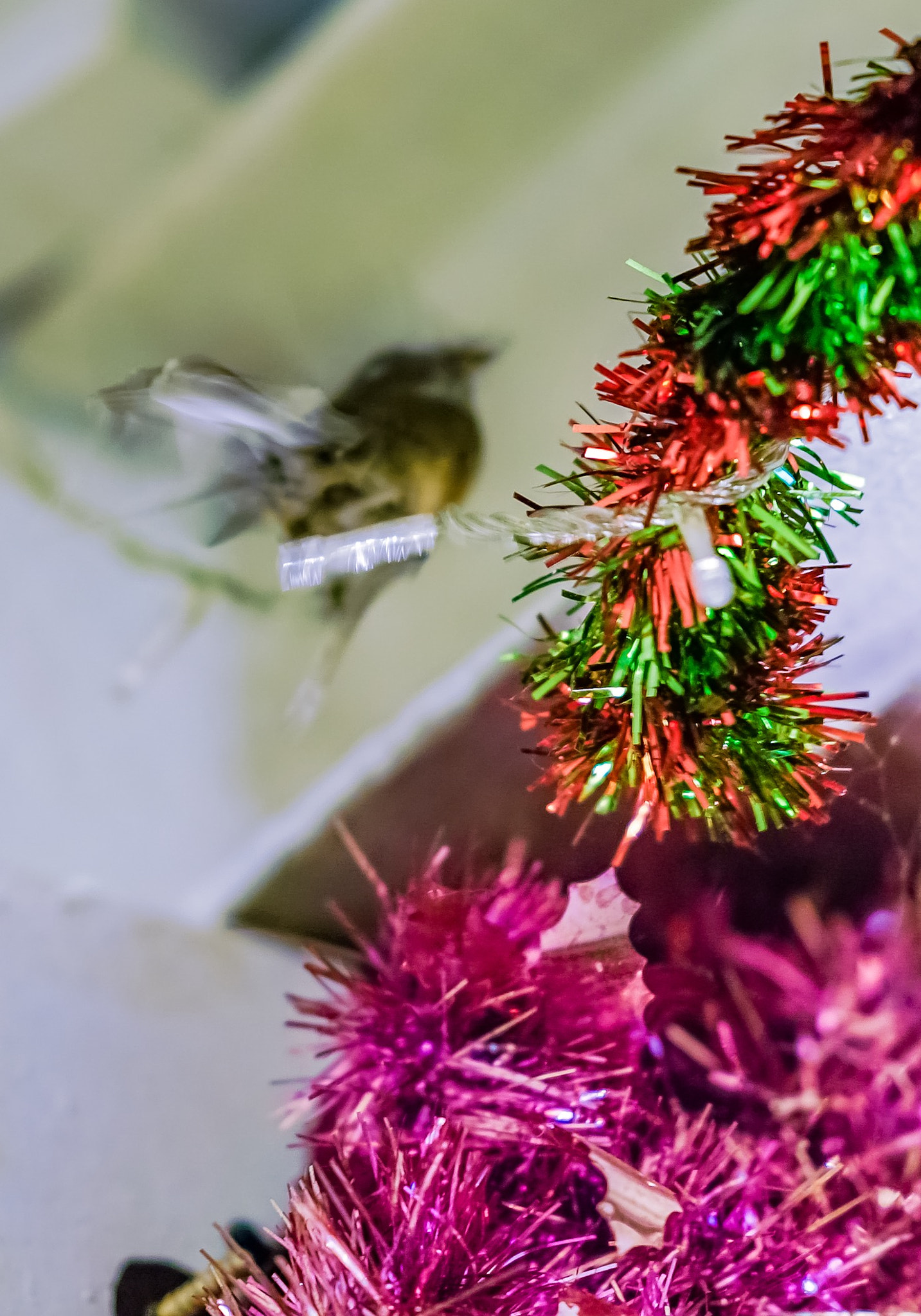Sony FE 85mm F1.4 GM sample photo