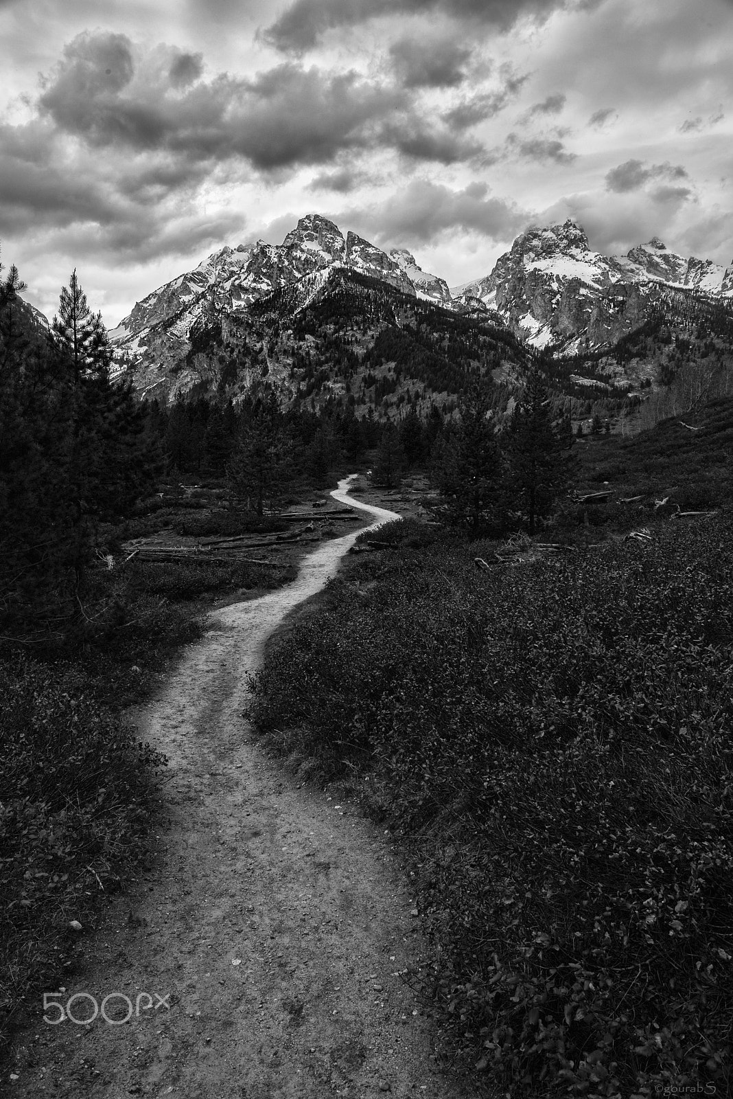 Nikon D610 + Nikon AF Nikkor 24mm F2.8D sample photo. The road less travelled photography