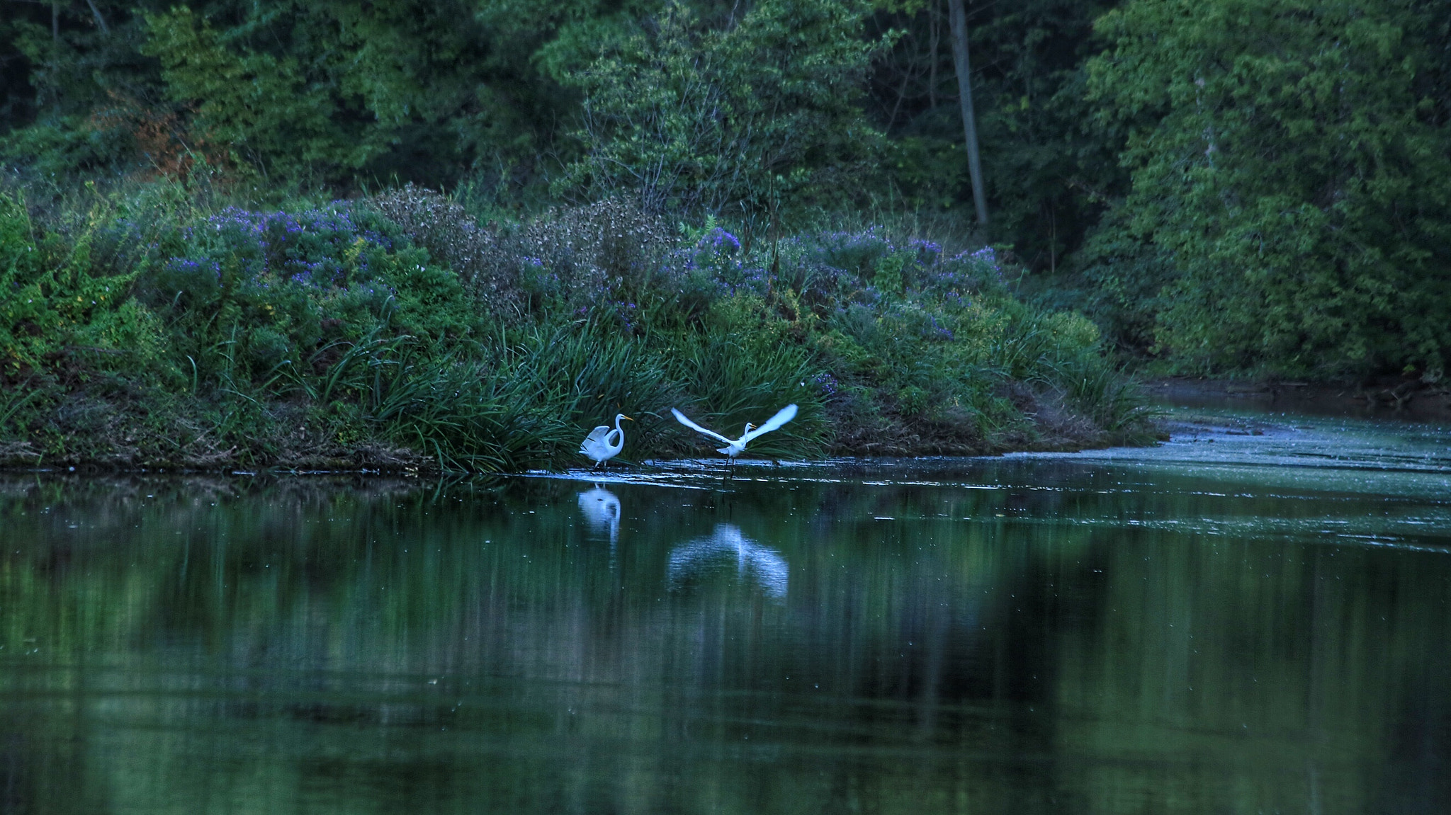 Canon EF 70-300mm F4-5.6 IS USM sample photo