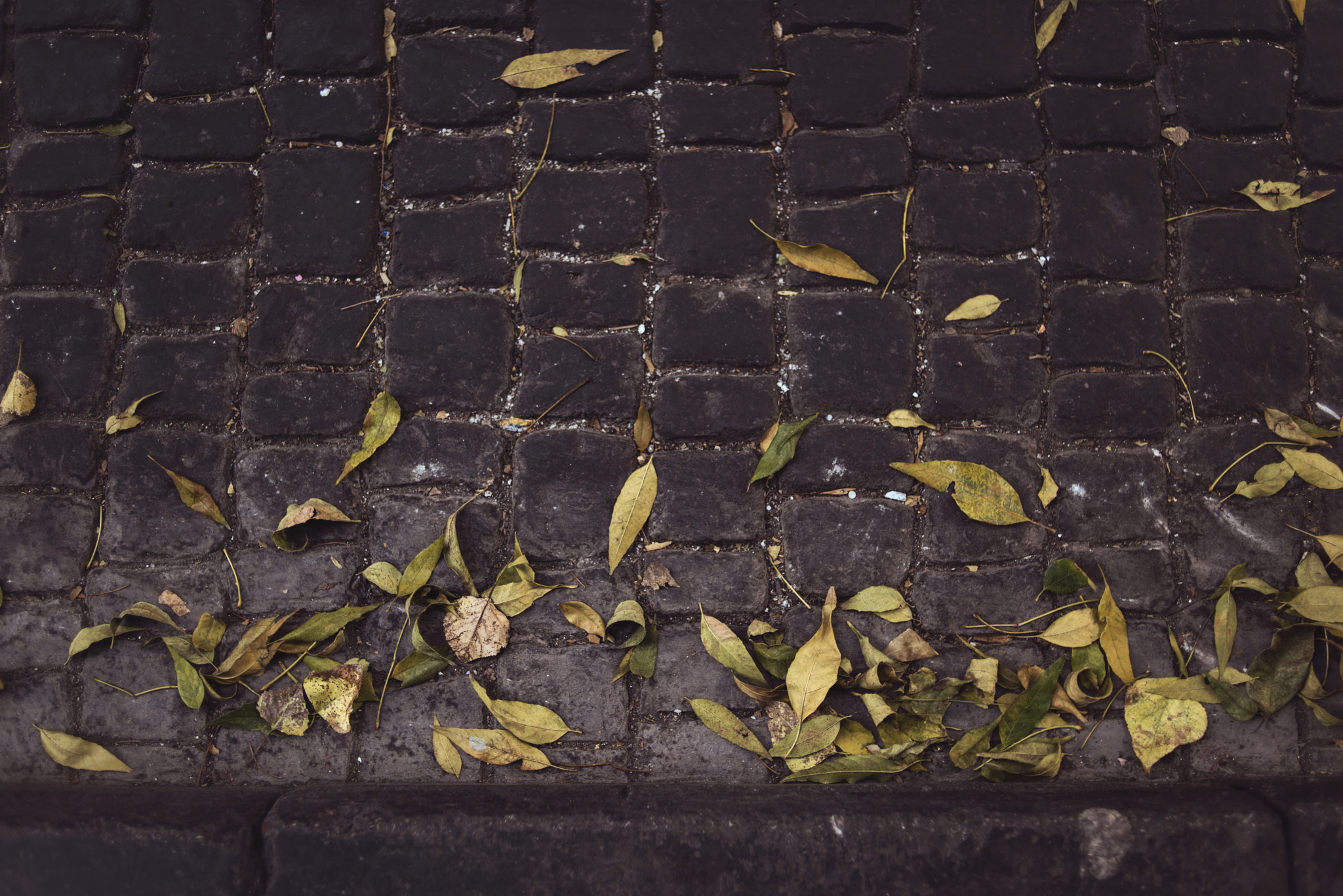 Nikon D810 + Nikon AF Nikkor 35mm F2D sample photo. Autumn photography