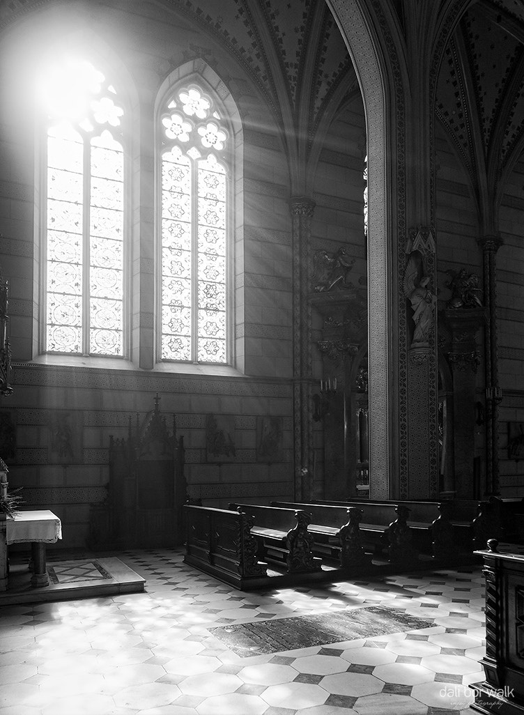 Sigma 24mm f/1.8 DG Macro EX sample photo. St. wenceslas cathedral photography