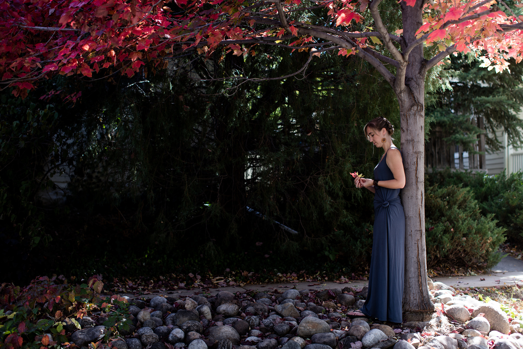 Canon EOS 5DS R + Canon EF 50mm F1.2L USM sample photo. Ciela photography