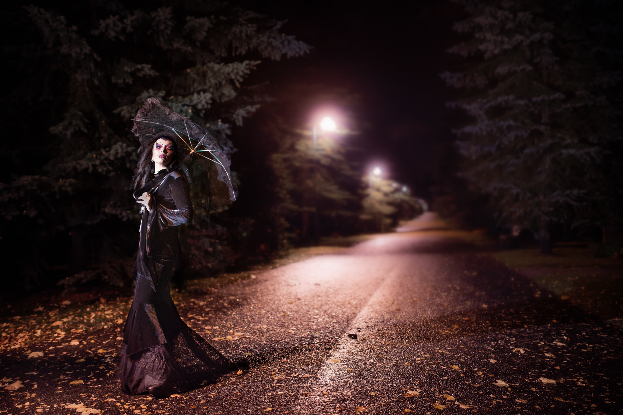 Nikon D800E sample photo. Gothic evening photography