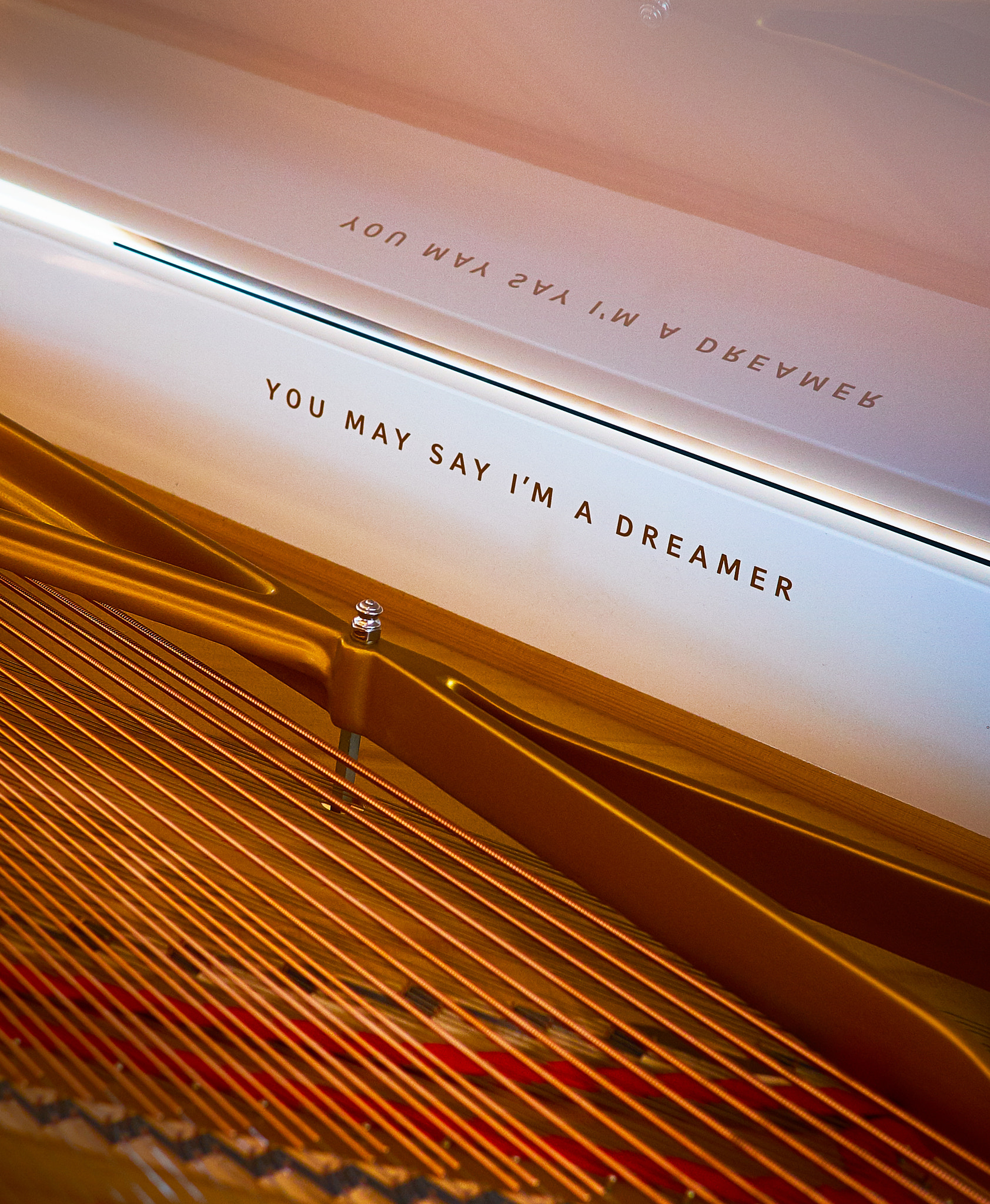 ZEISS Touit 32mm F1.8 sample photo. You may say i'm a dreamer photography