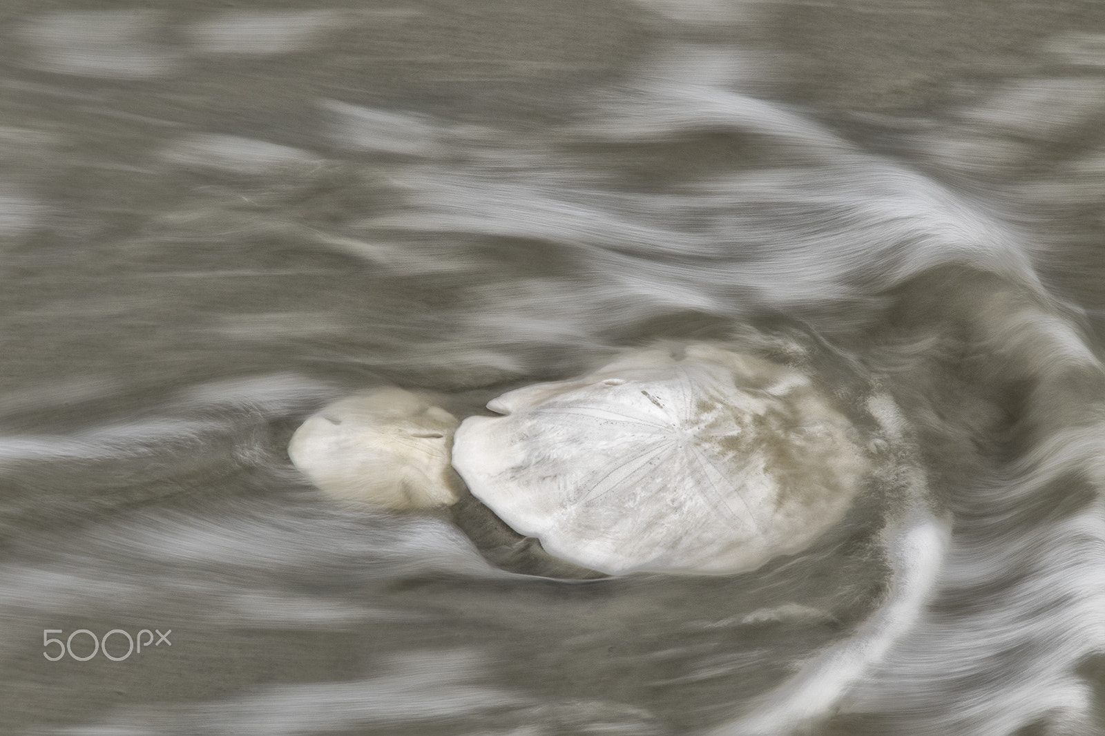 Sigma 18-250mm F3.5-6.3 DC OS HSM sample photo. Flowing dollar photography