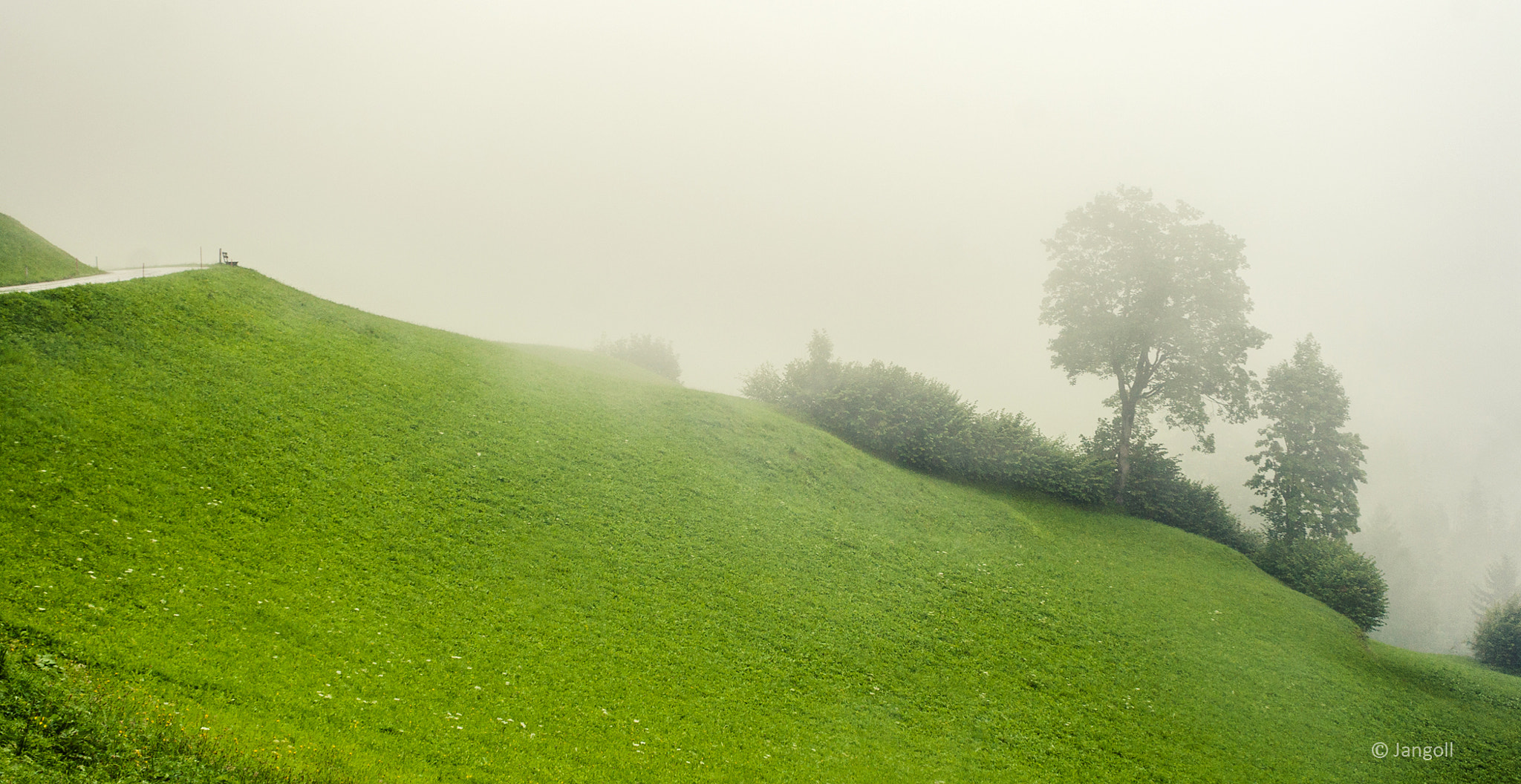 Canon EF 28-90mm f/4-5.6 sample photo. The trees in fog photography
