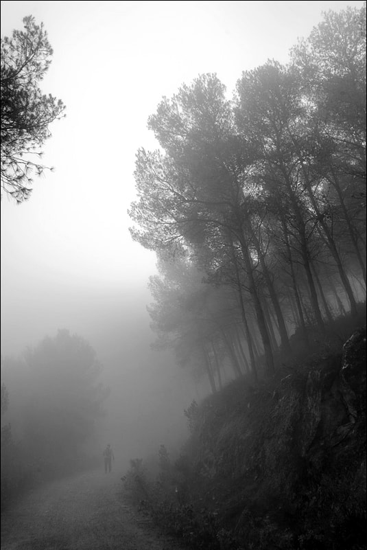 Canon EOS 5D sample photo. El senderista photography