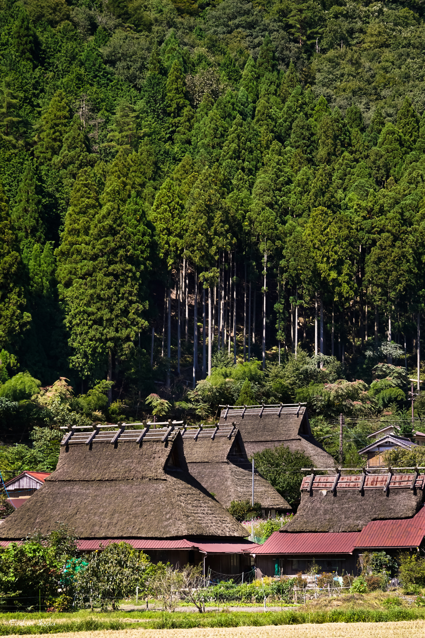 Sony ILCA-77M2 sample photo. The landscape of  japanese country photography