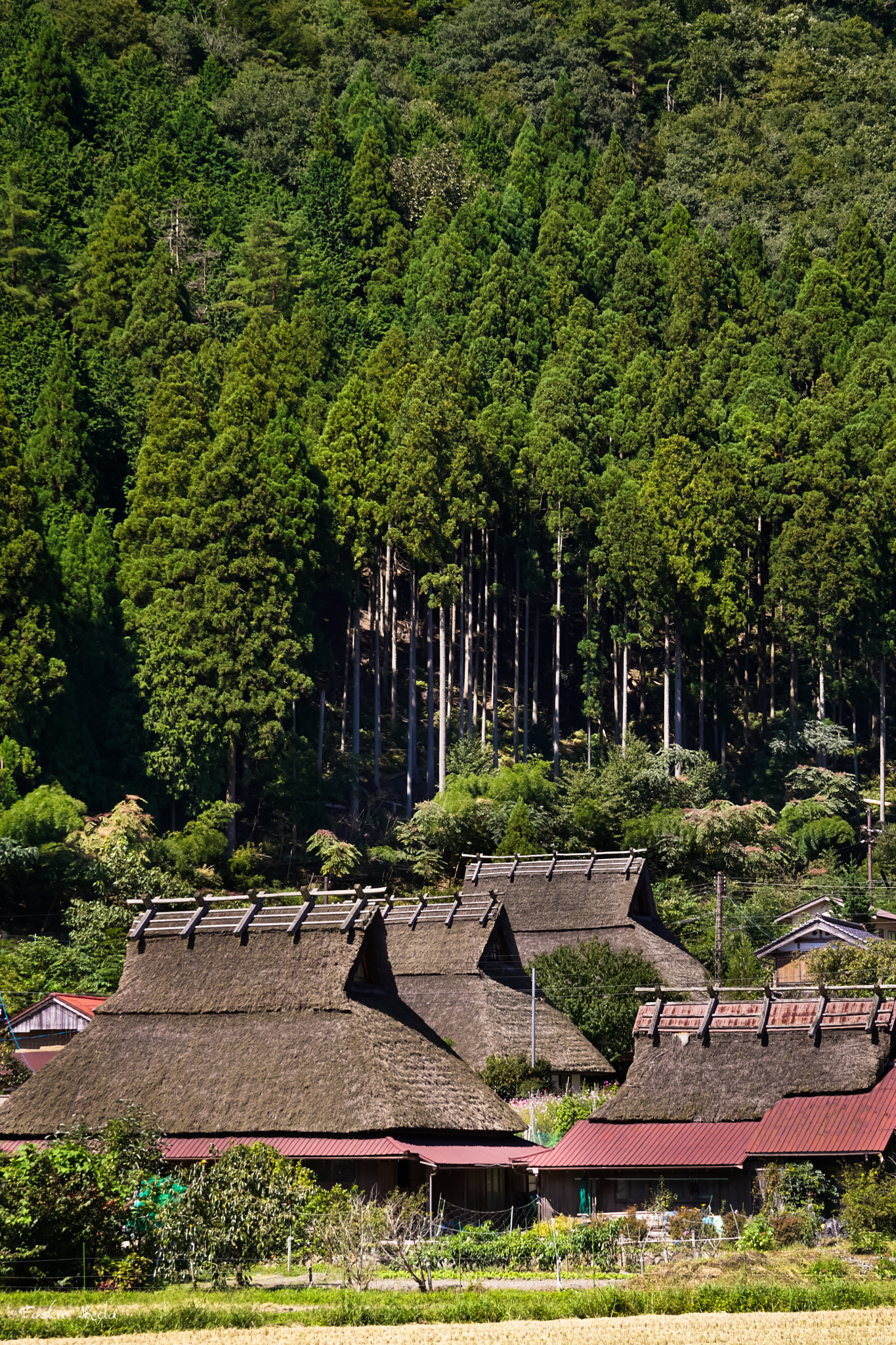 Sony 70-300mm F4.5-5.6 G SSM sample photo. The landscape of  japanese country photography