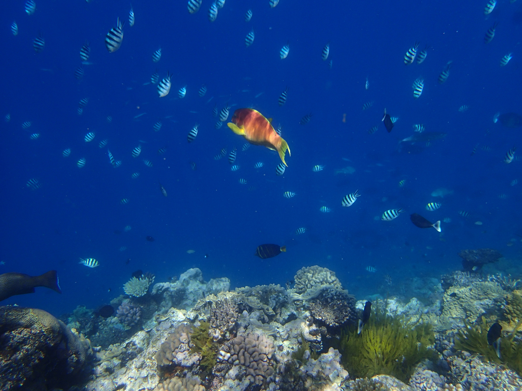 Olympus TG-1 sample photo. Look out over the drop off photography