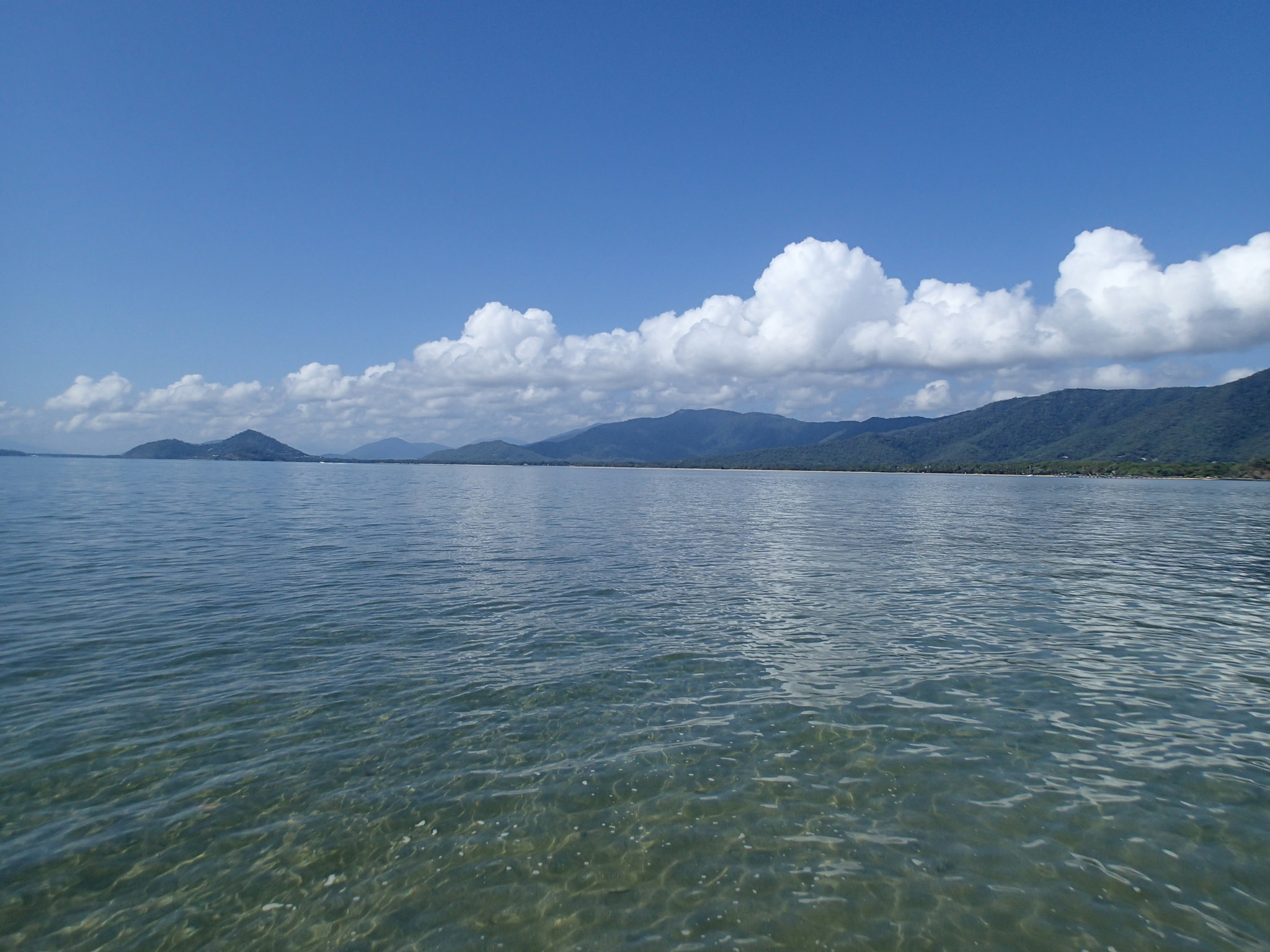 Olympus TG-1 sample photo. Palm cove photography