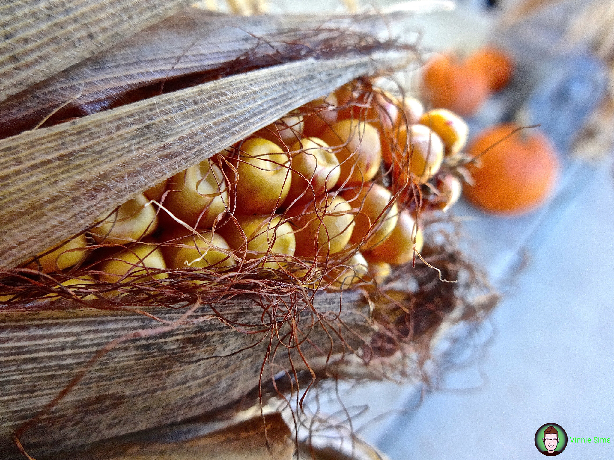 Sony Cyber-shot DSC-WX80 sample photo. Fall corn stalk... photography